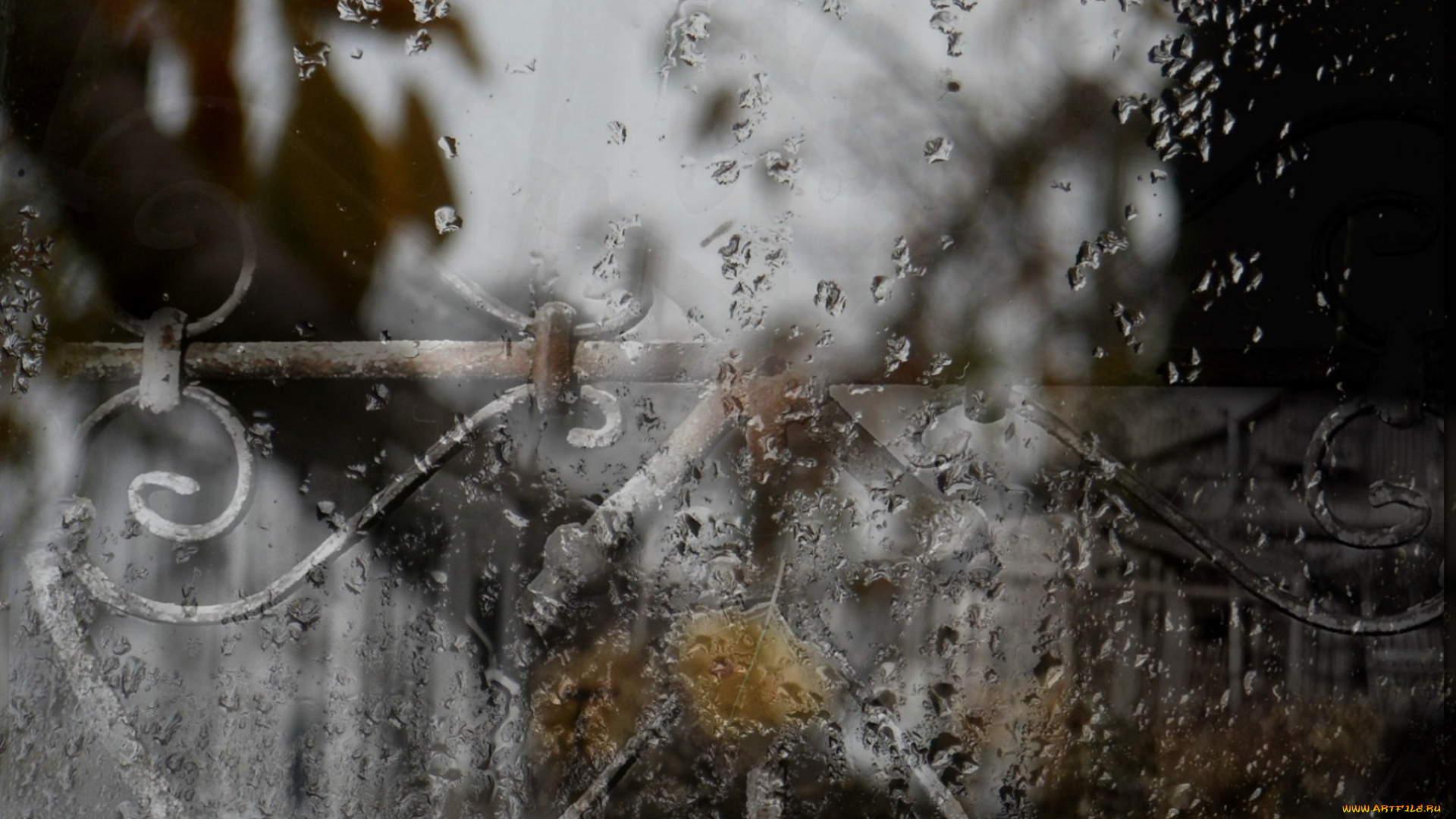 разное, капли, , брызги, , всплески, осень, макро, стекло