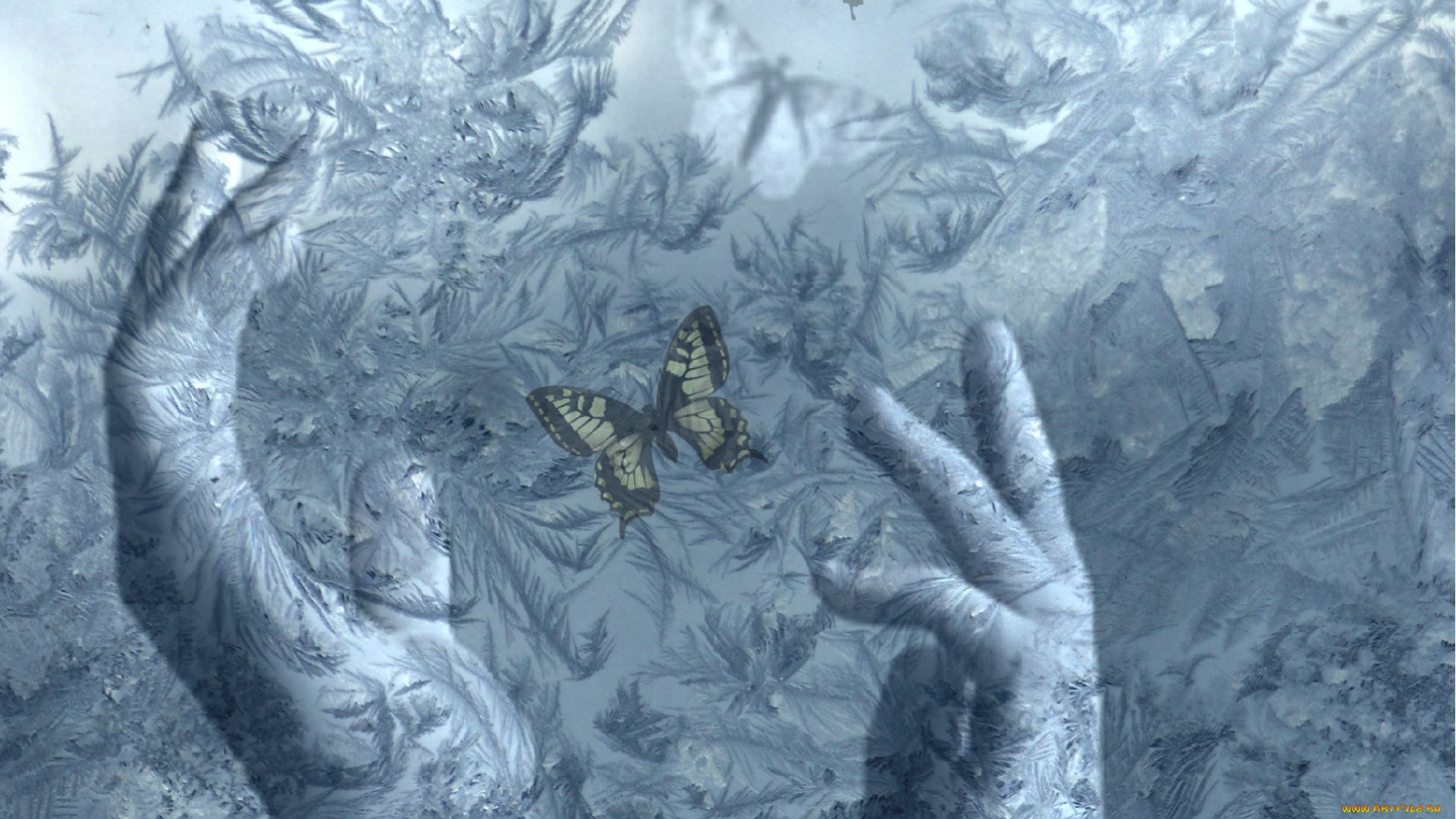 разное, компьютерный, дизайн, бабочки, руки, обработка