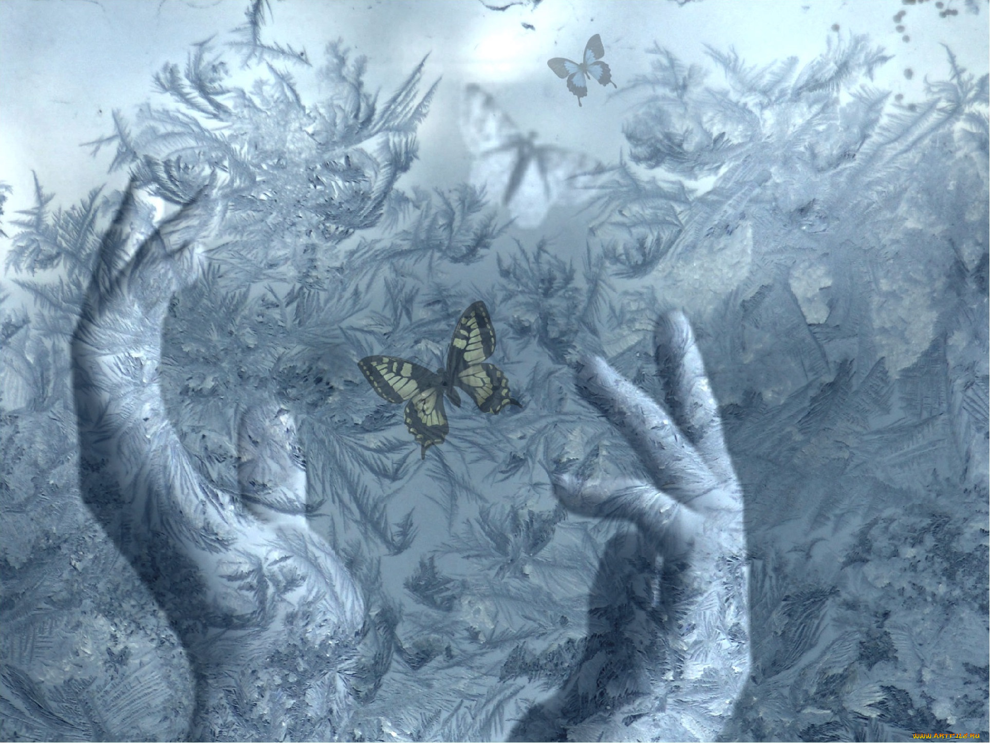 разное, компьютерный, дизайн, бабочки, руки, обработка