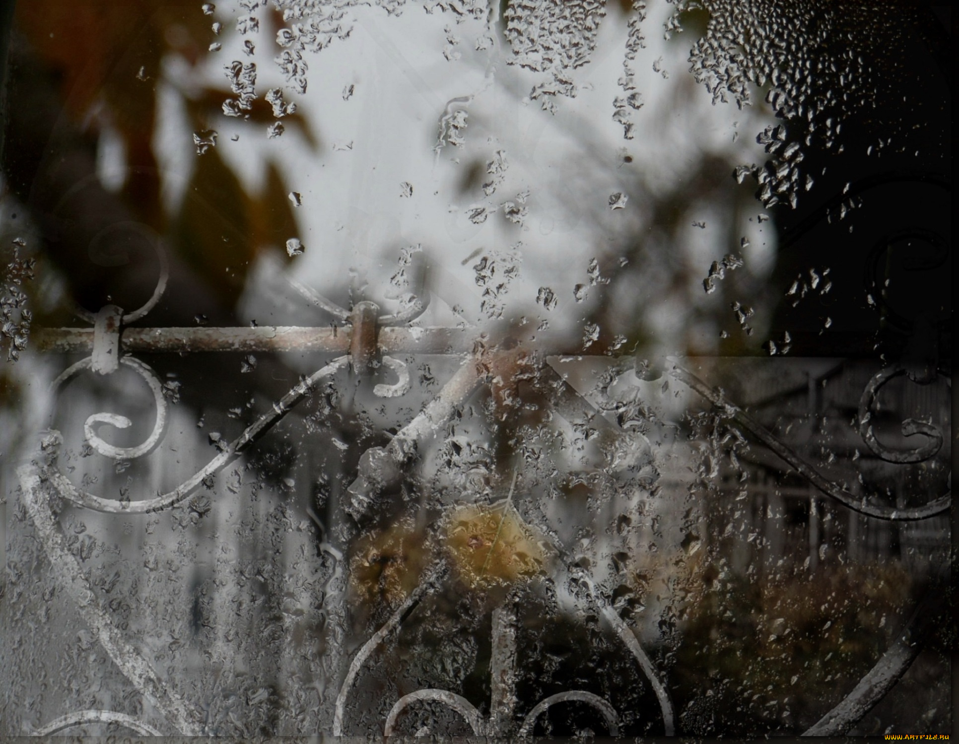 разное, капли, , брызги, , всплески, осень, макро, стекло