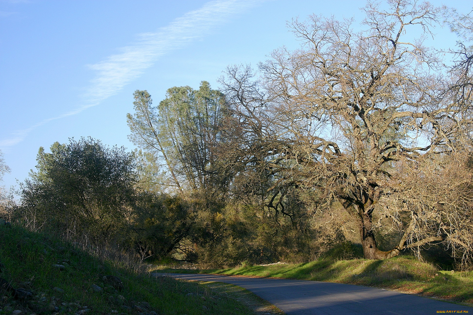 природа, дороги, дорога