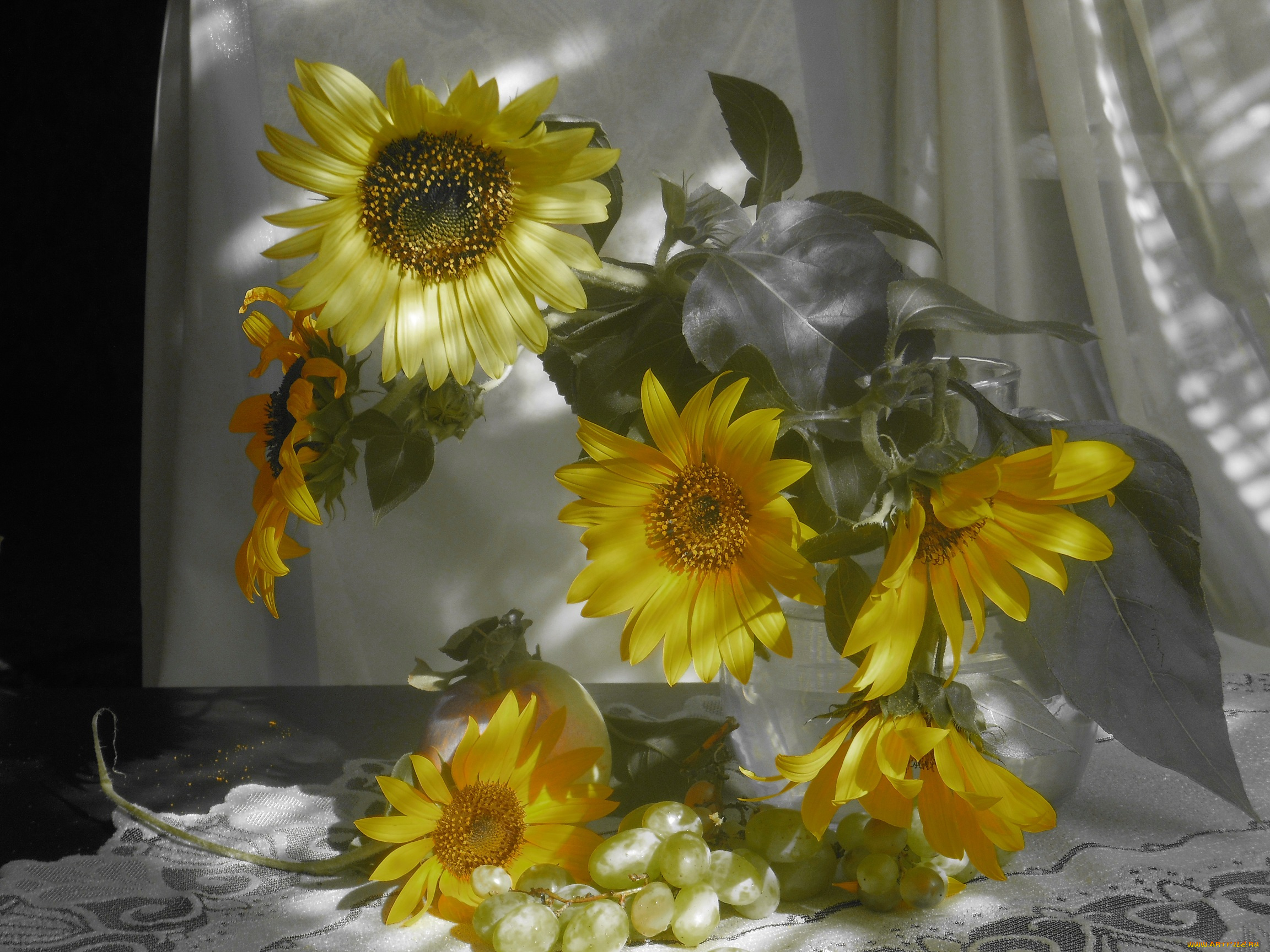 цветы, подсолнухи, листья, букет