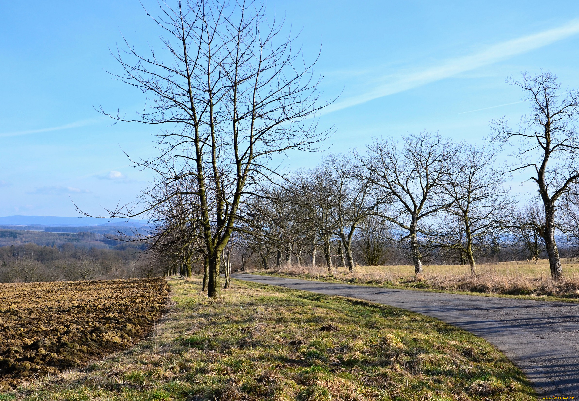 природа, дороги, деревья, дорога