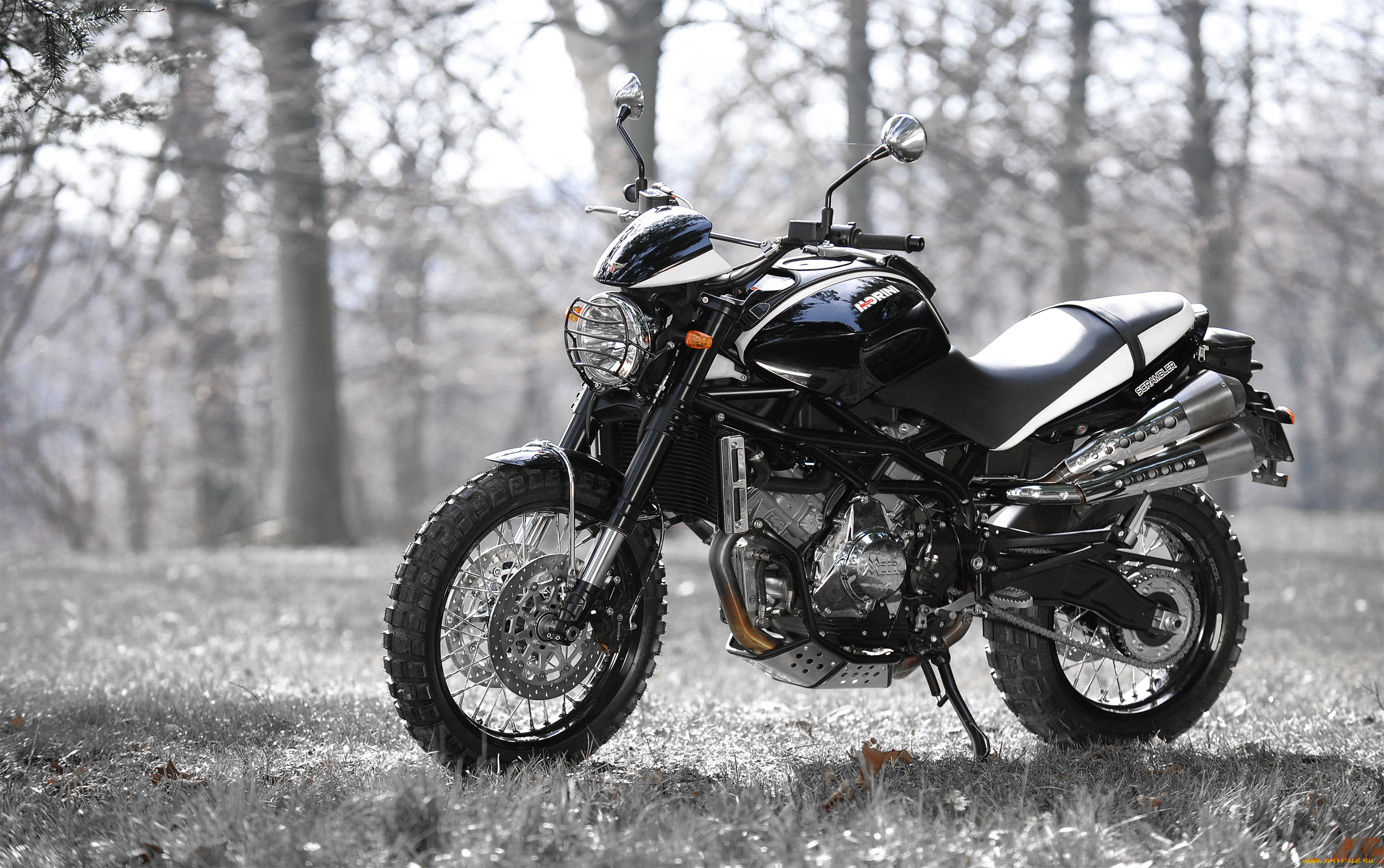 мотоциклы, -unsort, moto, morini