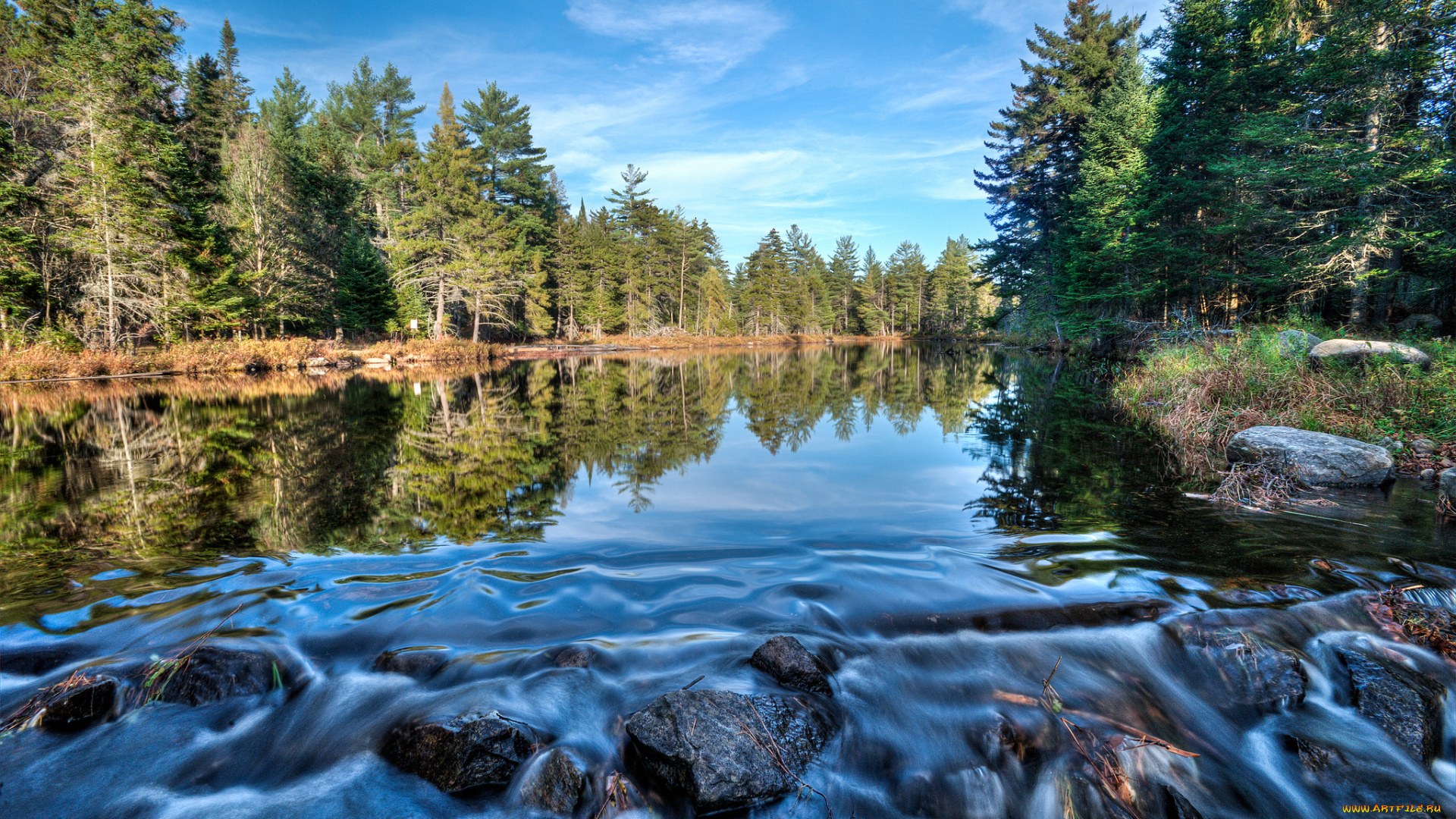 природа, реки, озера, лес, река