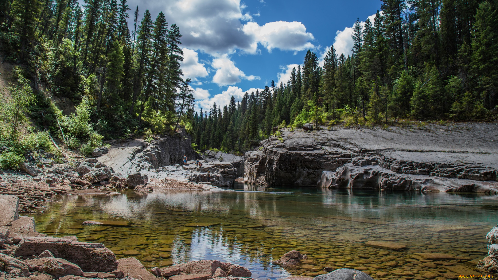 природа, реки, озера, лес, река