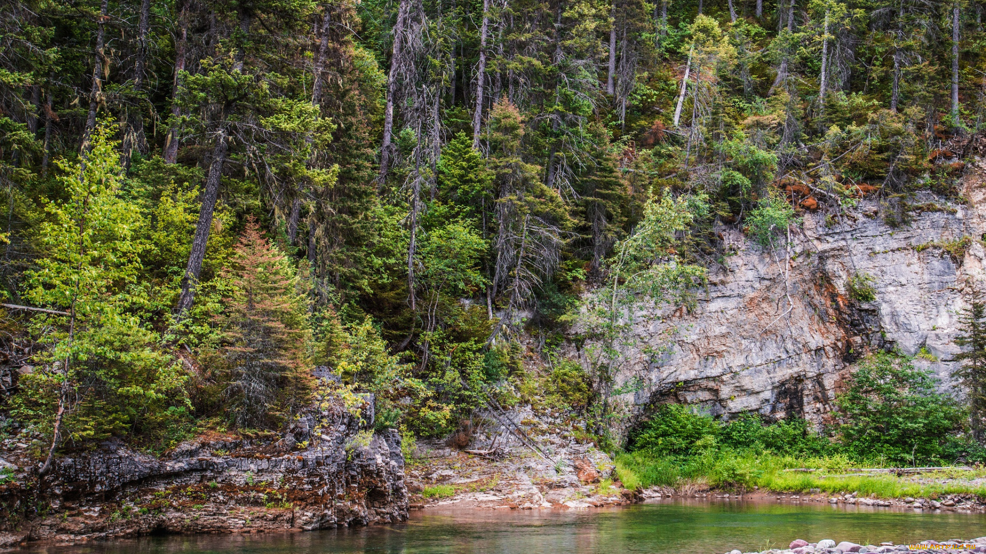 природа, реки, озера, лес, река
