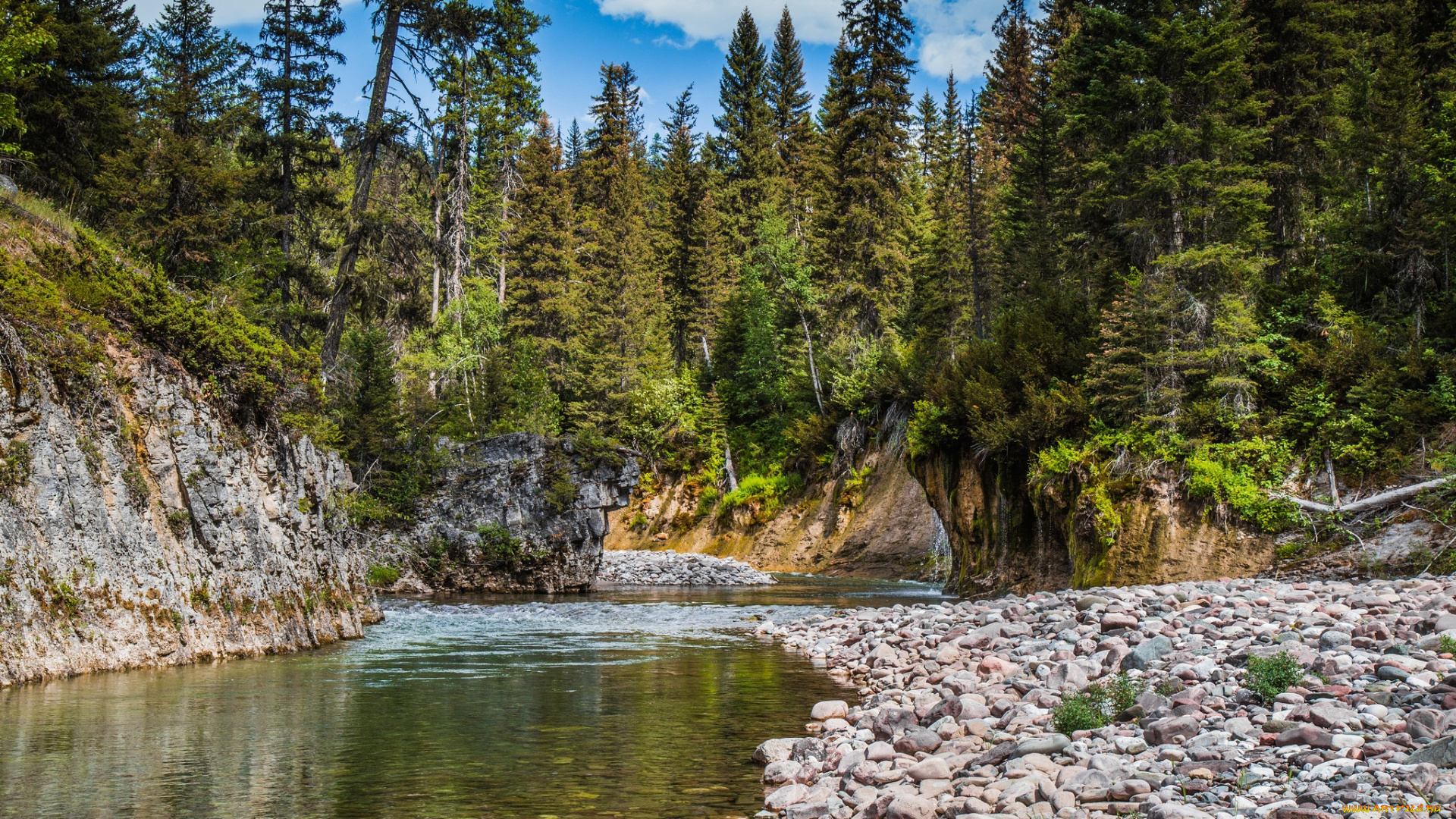 природа, реки, озера, река, лес