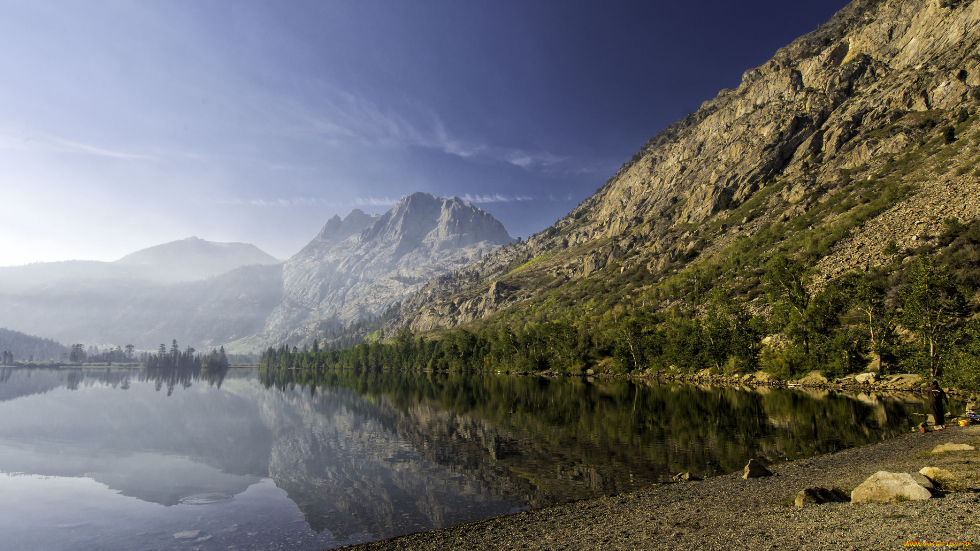 природа, реки, озера, река, лес