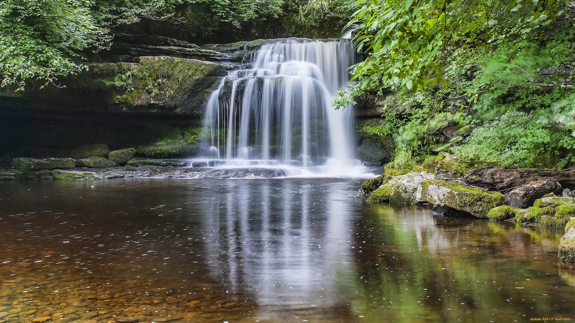 природа, водопады, лес, водопад, река