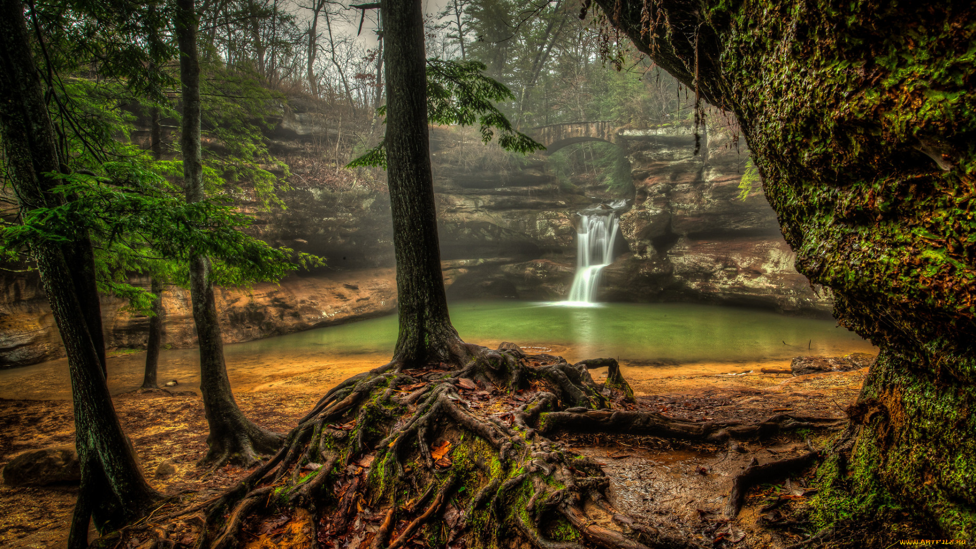 природа, водопады, водопад, река, лес
