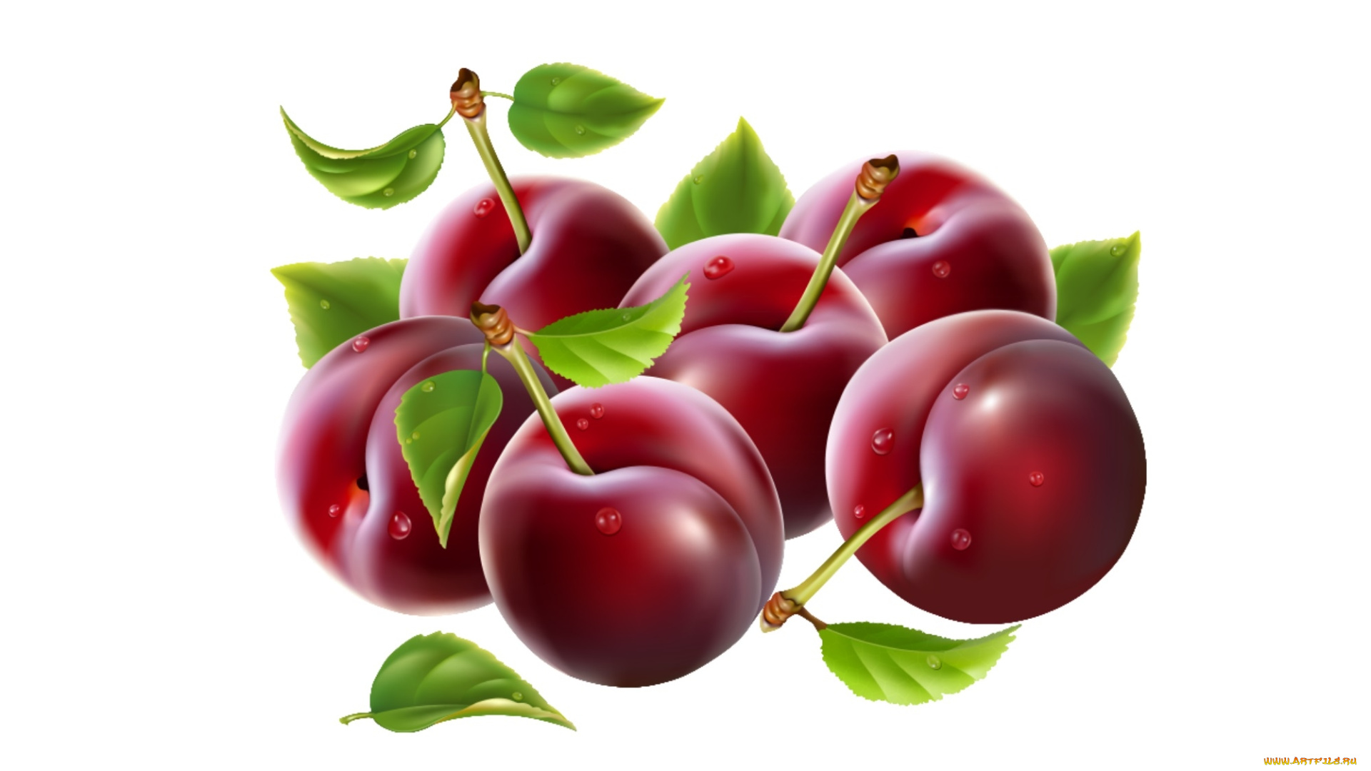 векторная, графика, еда, , food, вишни, фон, ягоды