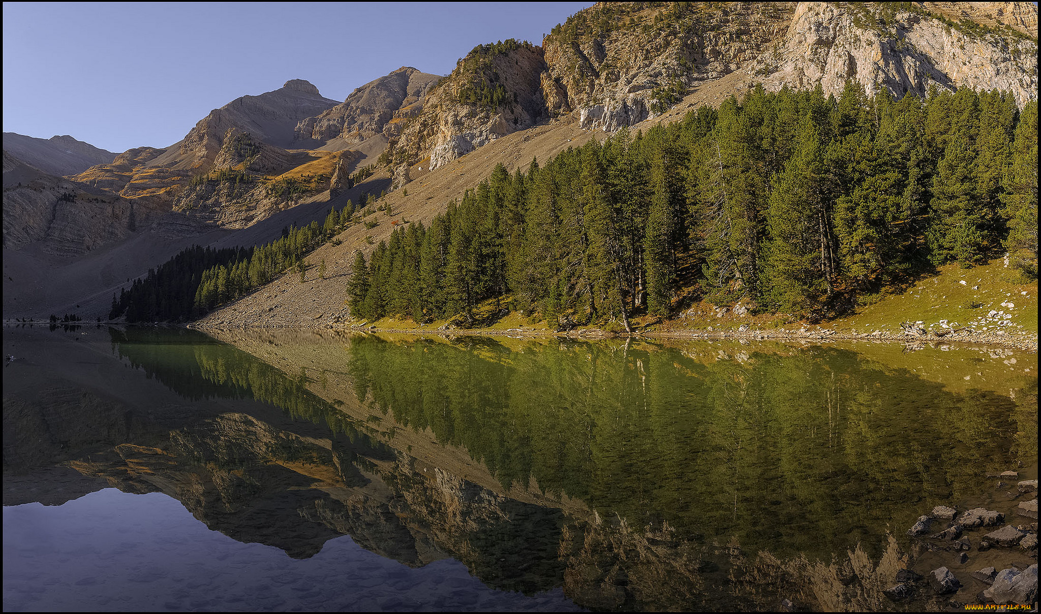 природа, реки, озера, река, лес