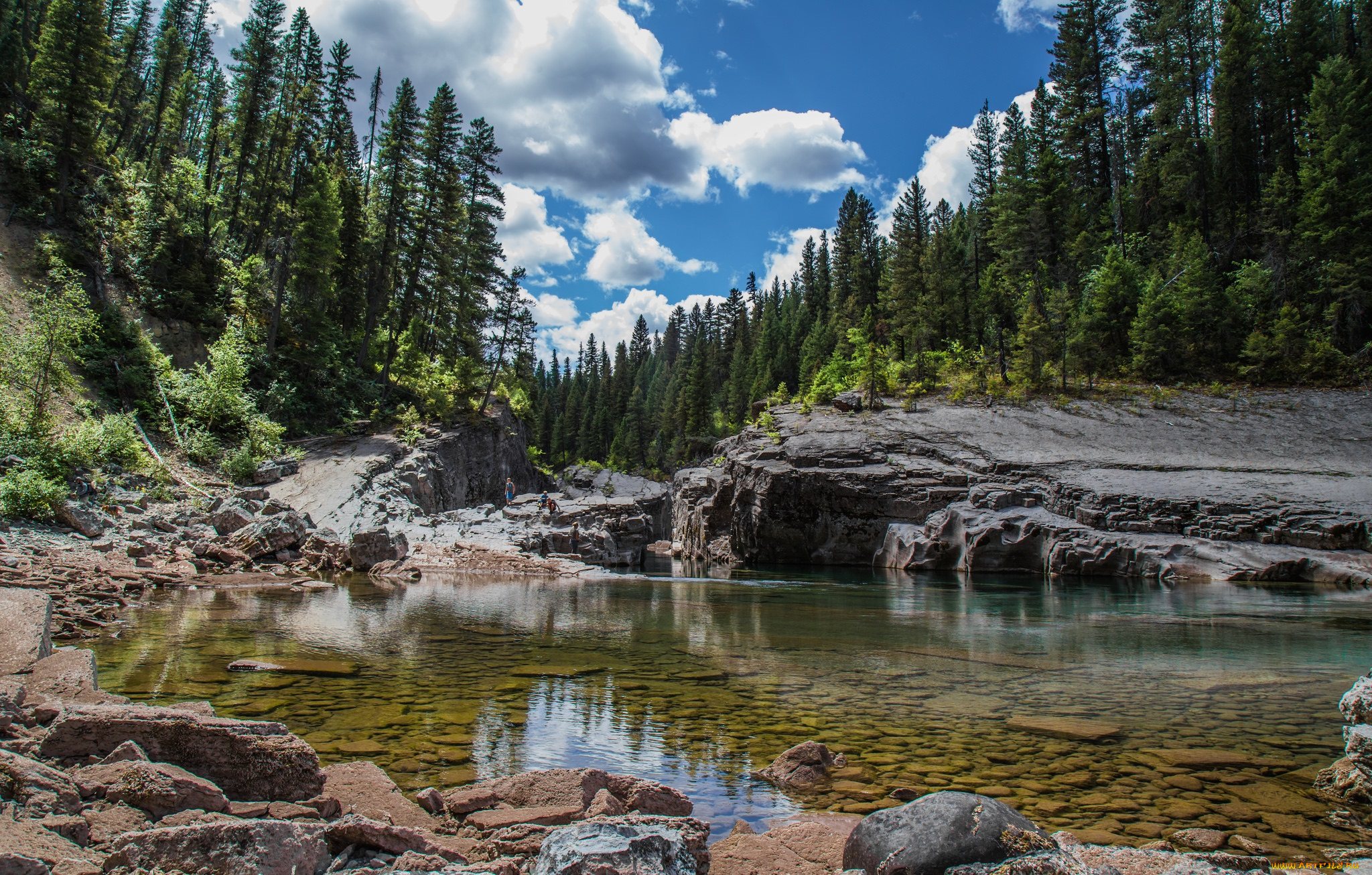 природа, реки, озера, лес, река