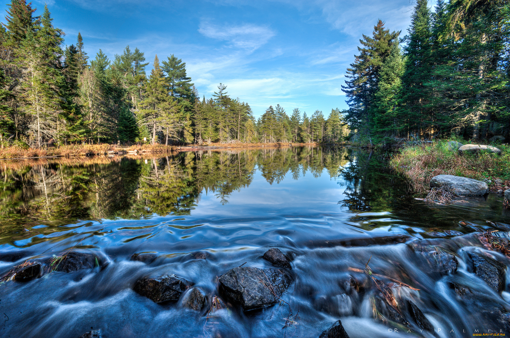 природа, реки, озера, лес, река