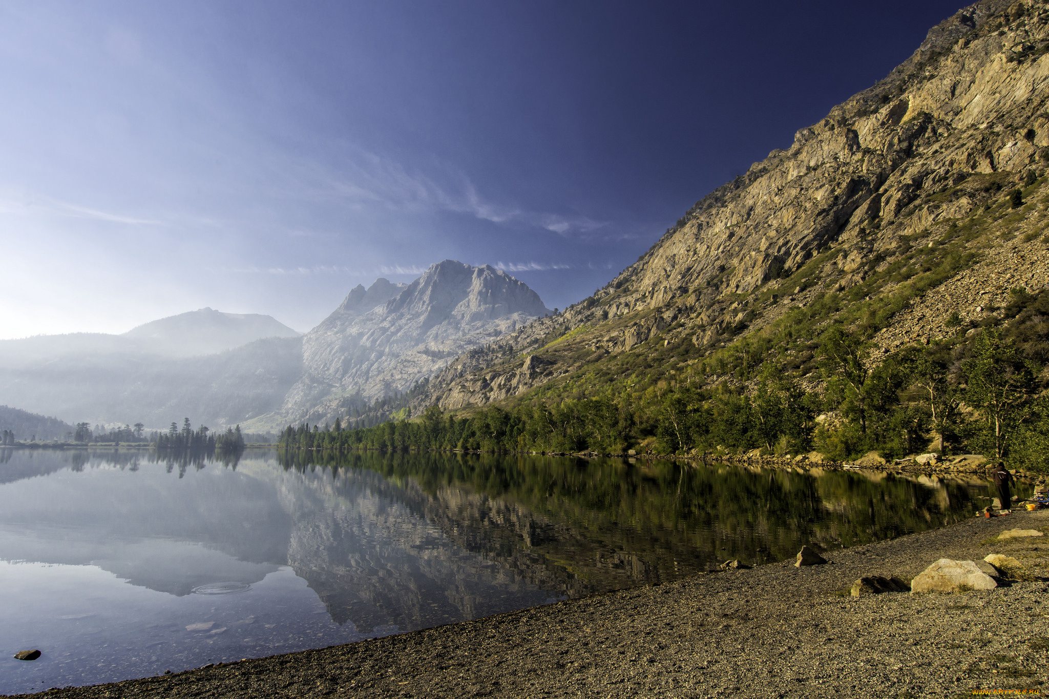 природа, реки, озера, река, лес