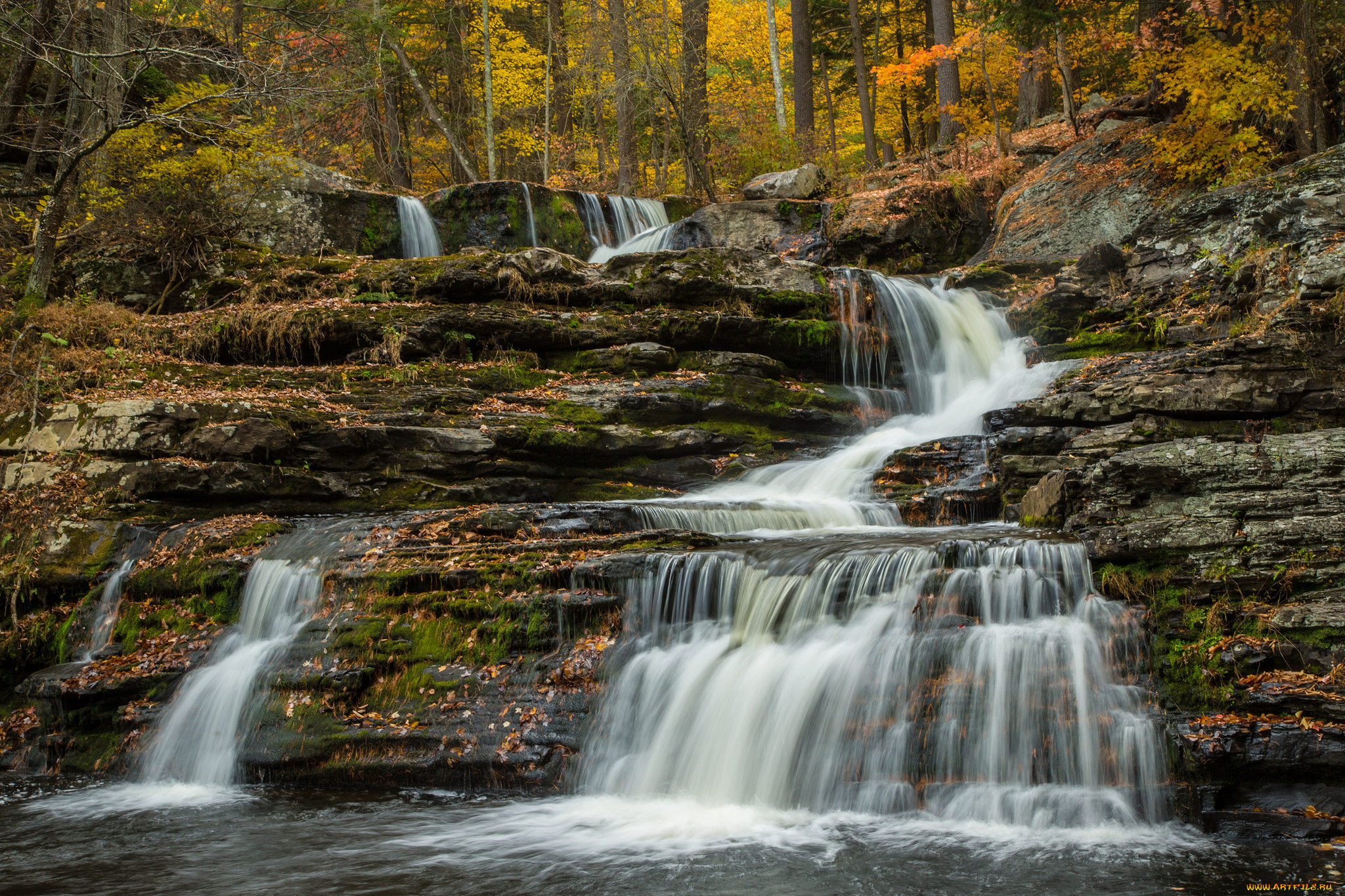 природа, водопады, река, водопад, лес
