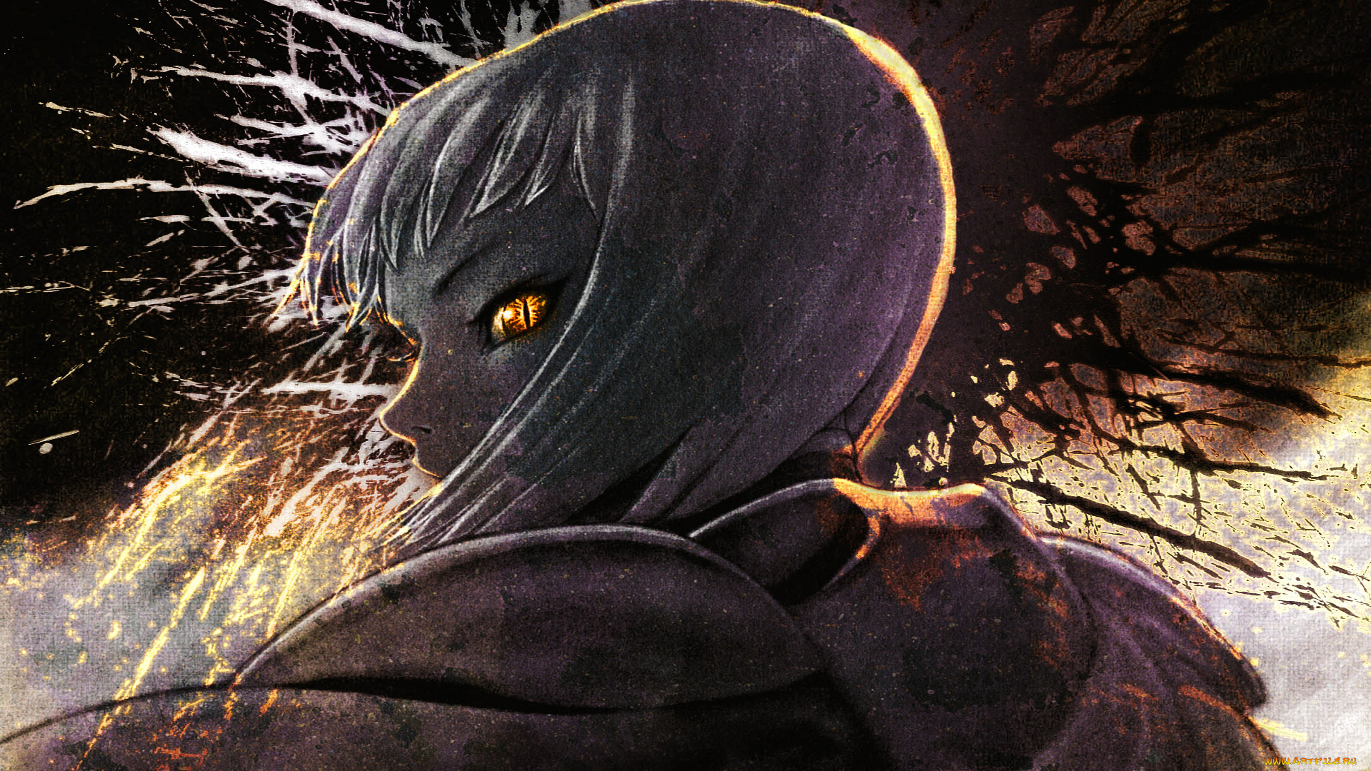 аниме, claymore, огонь, глаз, взгляд