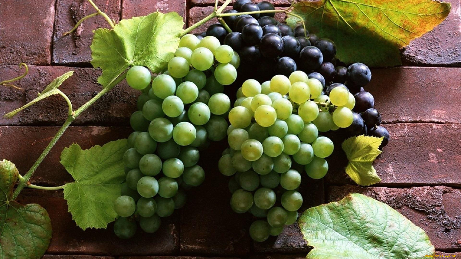 еда, виноград, ягоды, гроздья