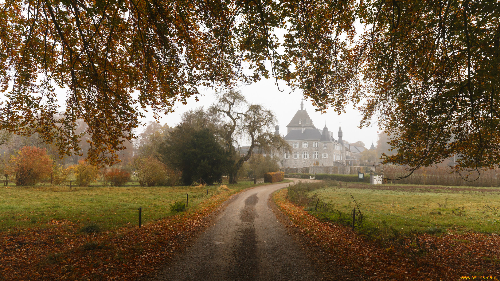 города, -, пейзажи, парк