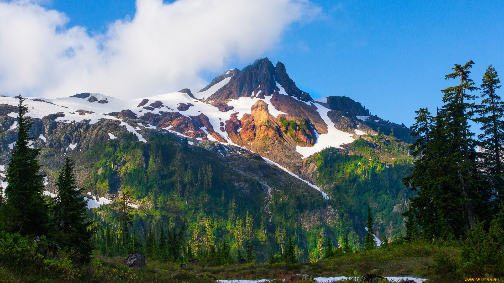 природа, горы, небо, снег, лес, тучи, пейзаж, вершина