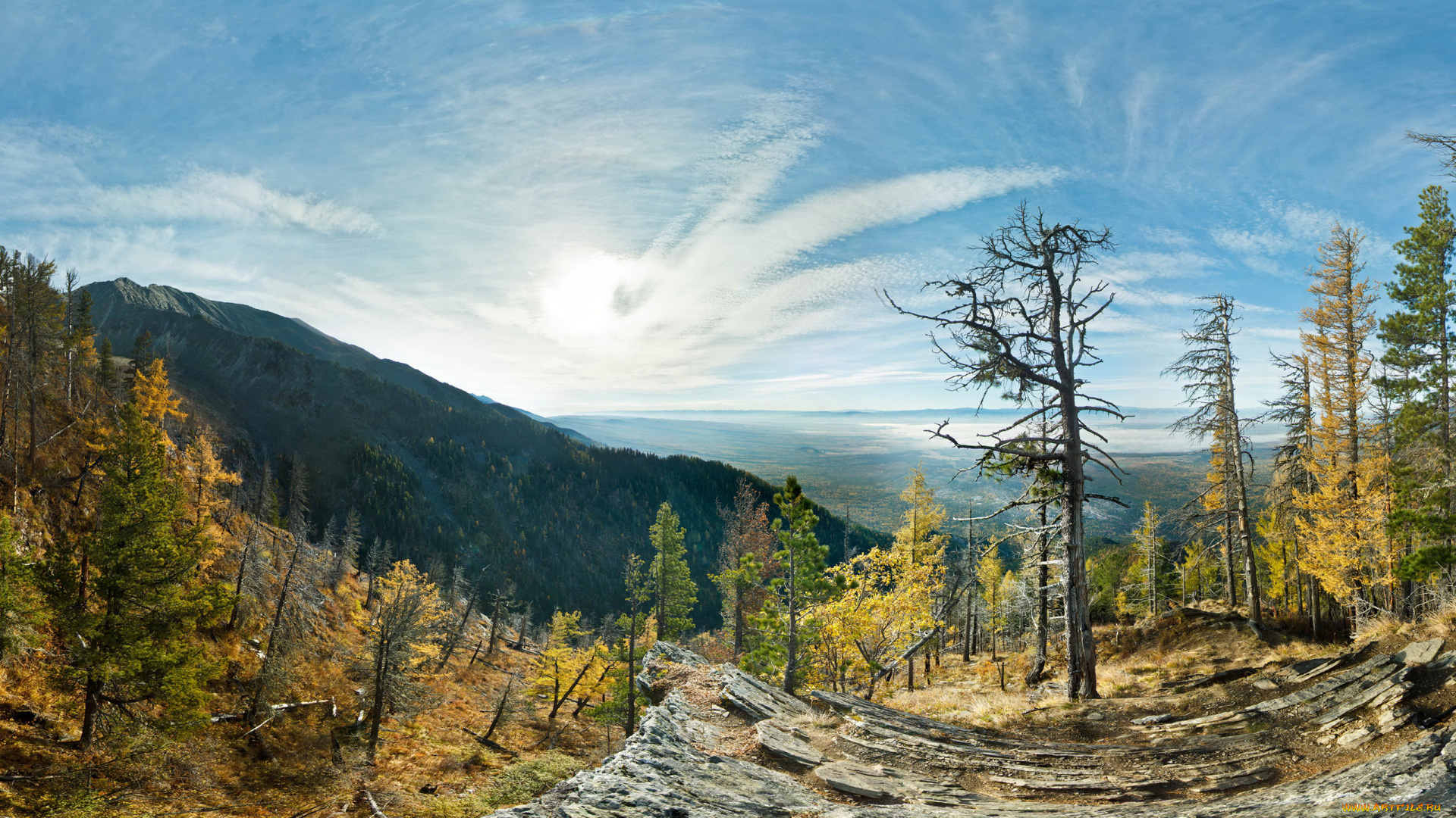 природа, пейзажи, лес, пейзаж, деревья, осень, валежник, вид, скалы, горы