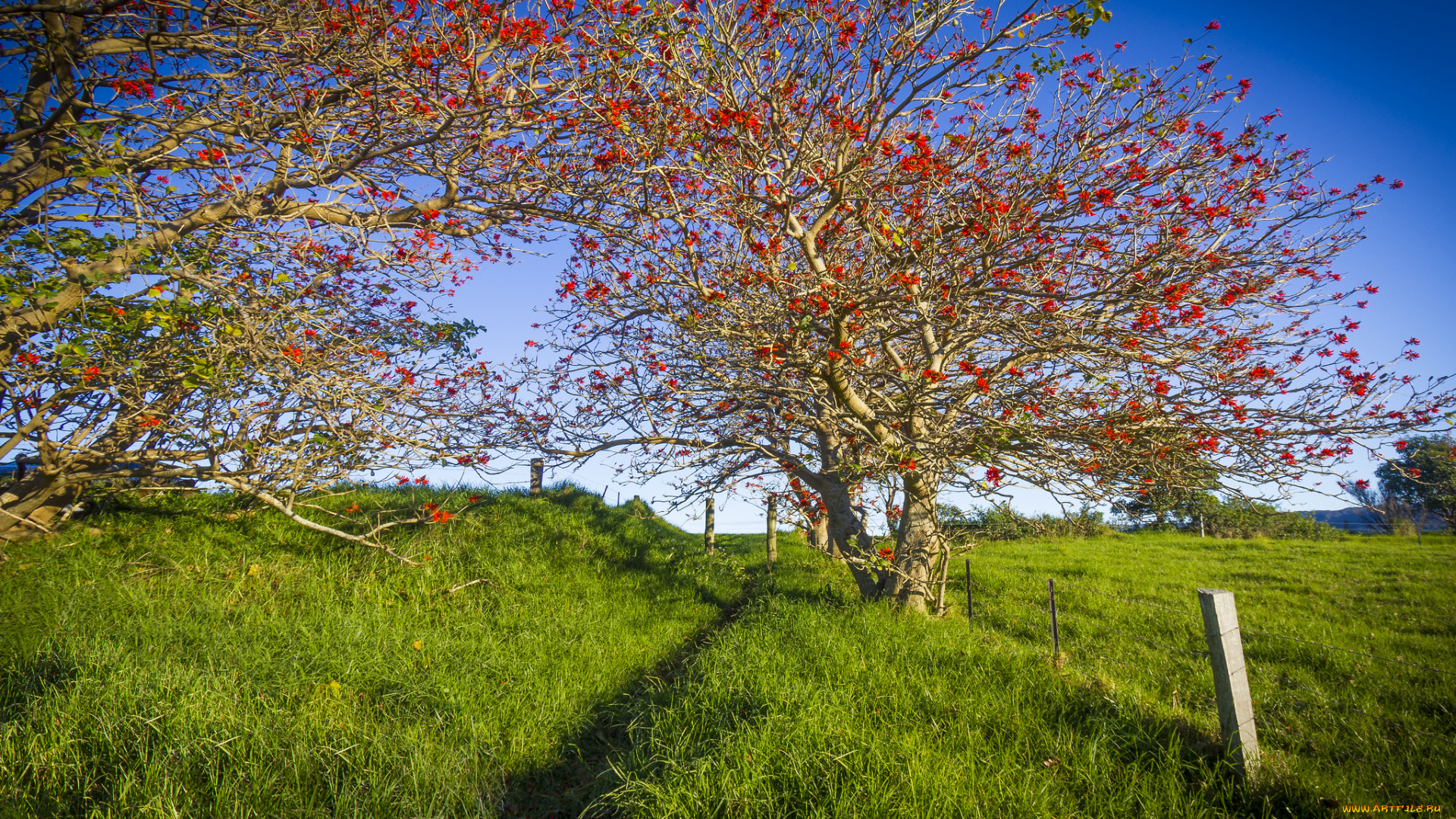 природа, пейзажи, простор