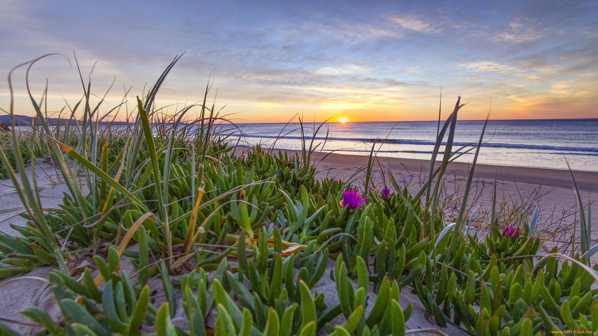 природа, побережье, простор