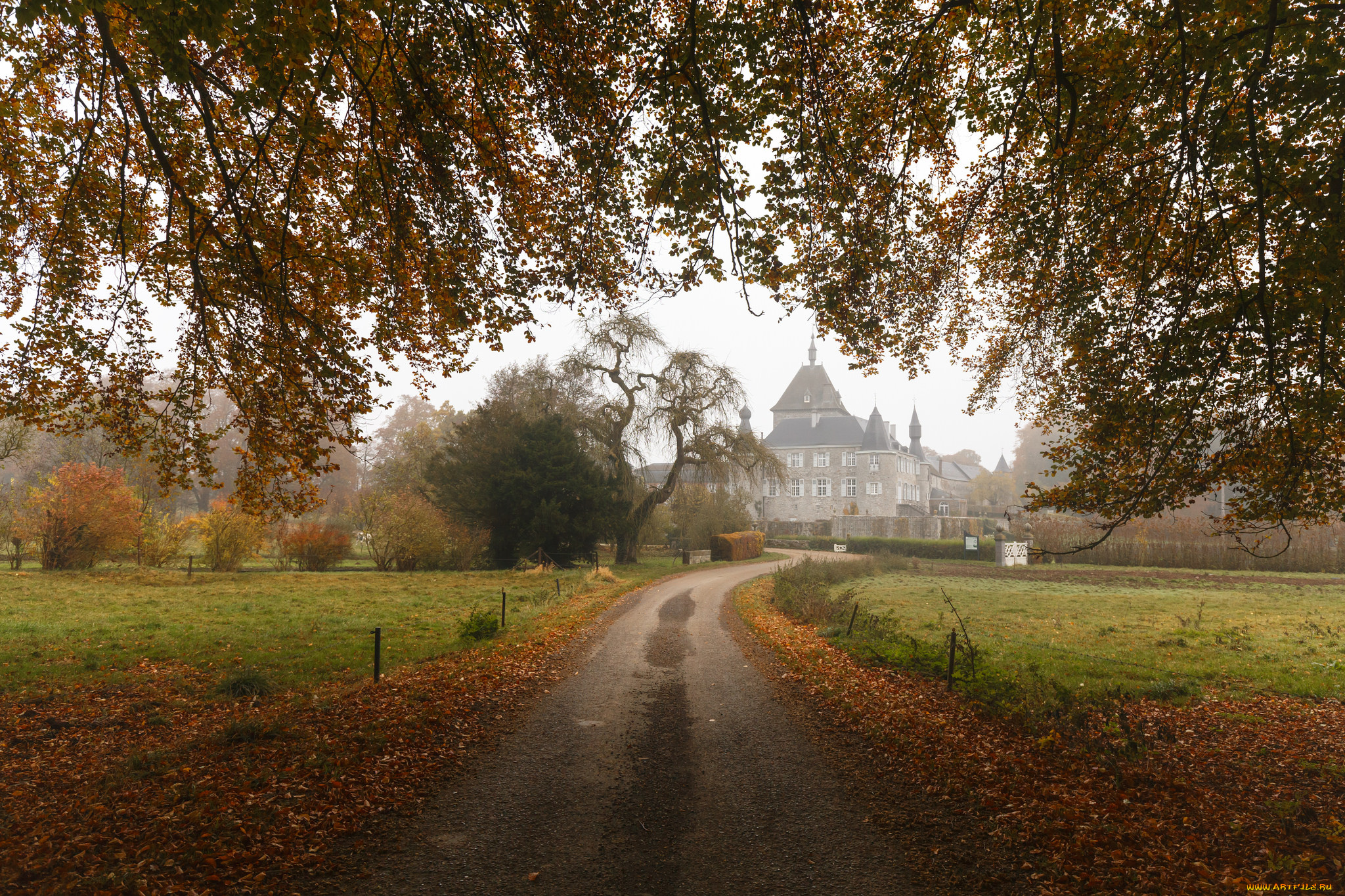 города, -, пейзажи, парк