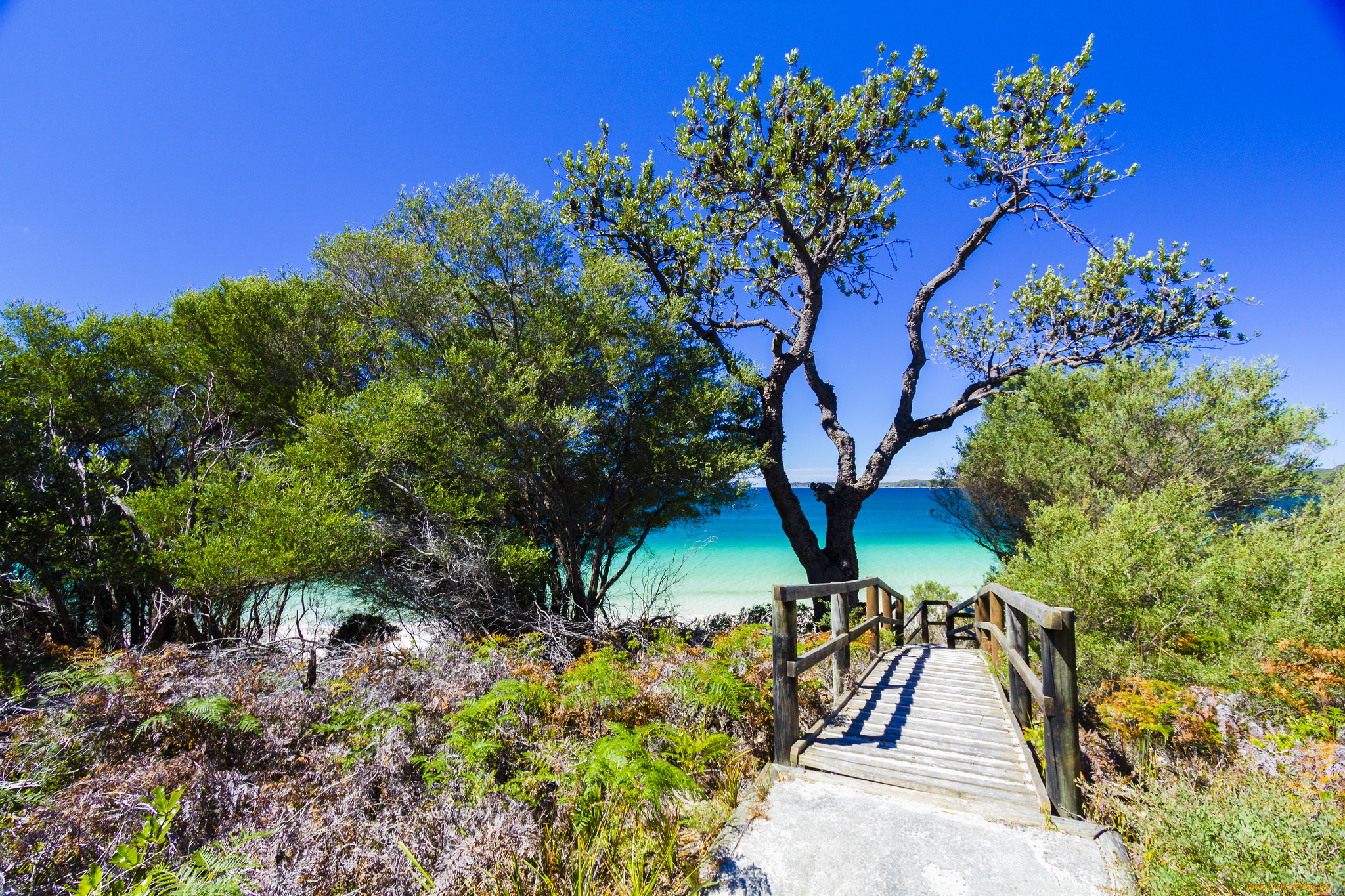 природа, побережье, простор