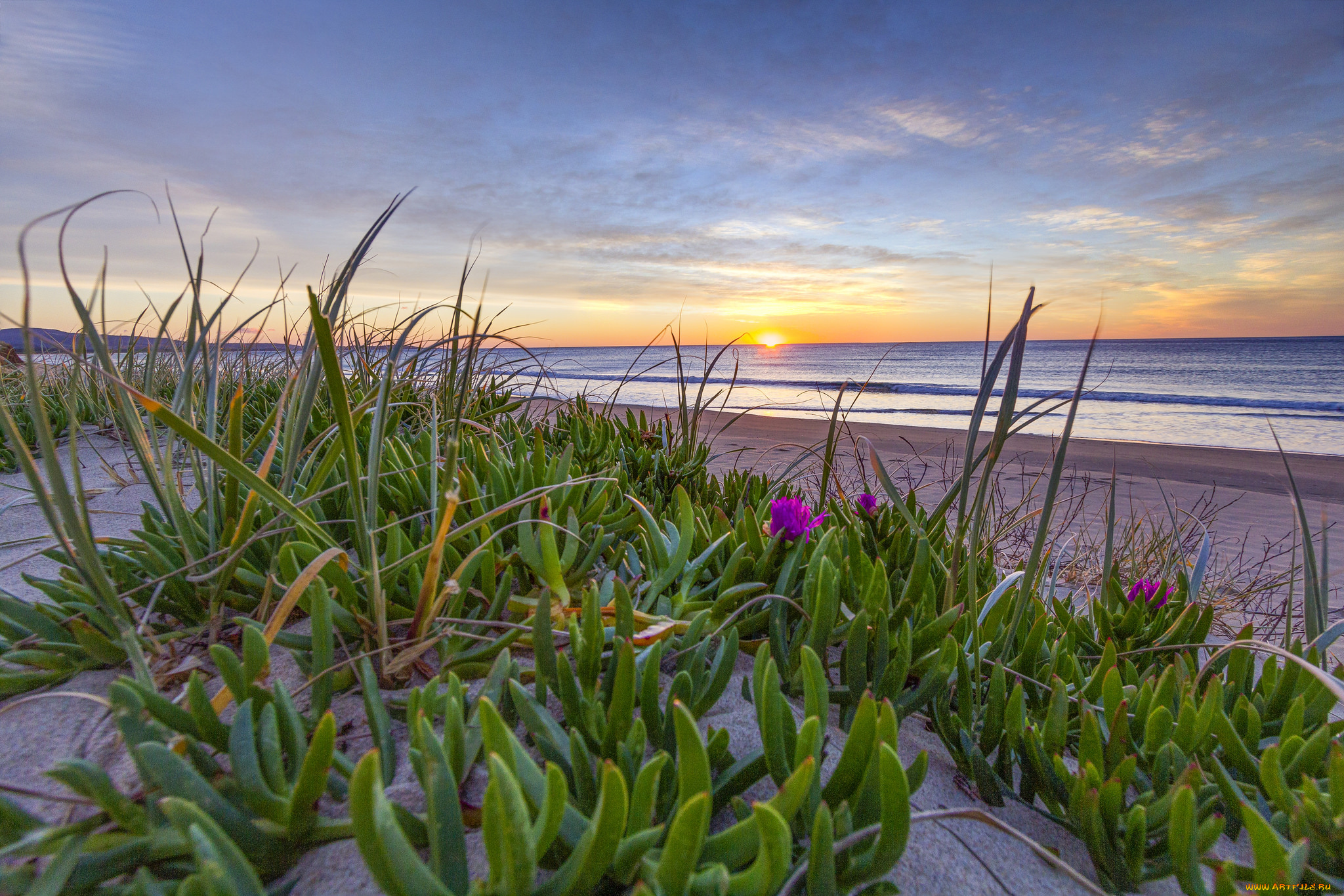 природа, побережье, простор