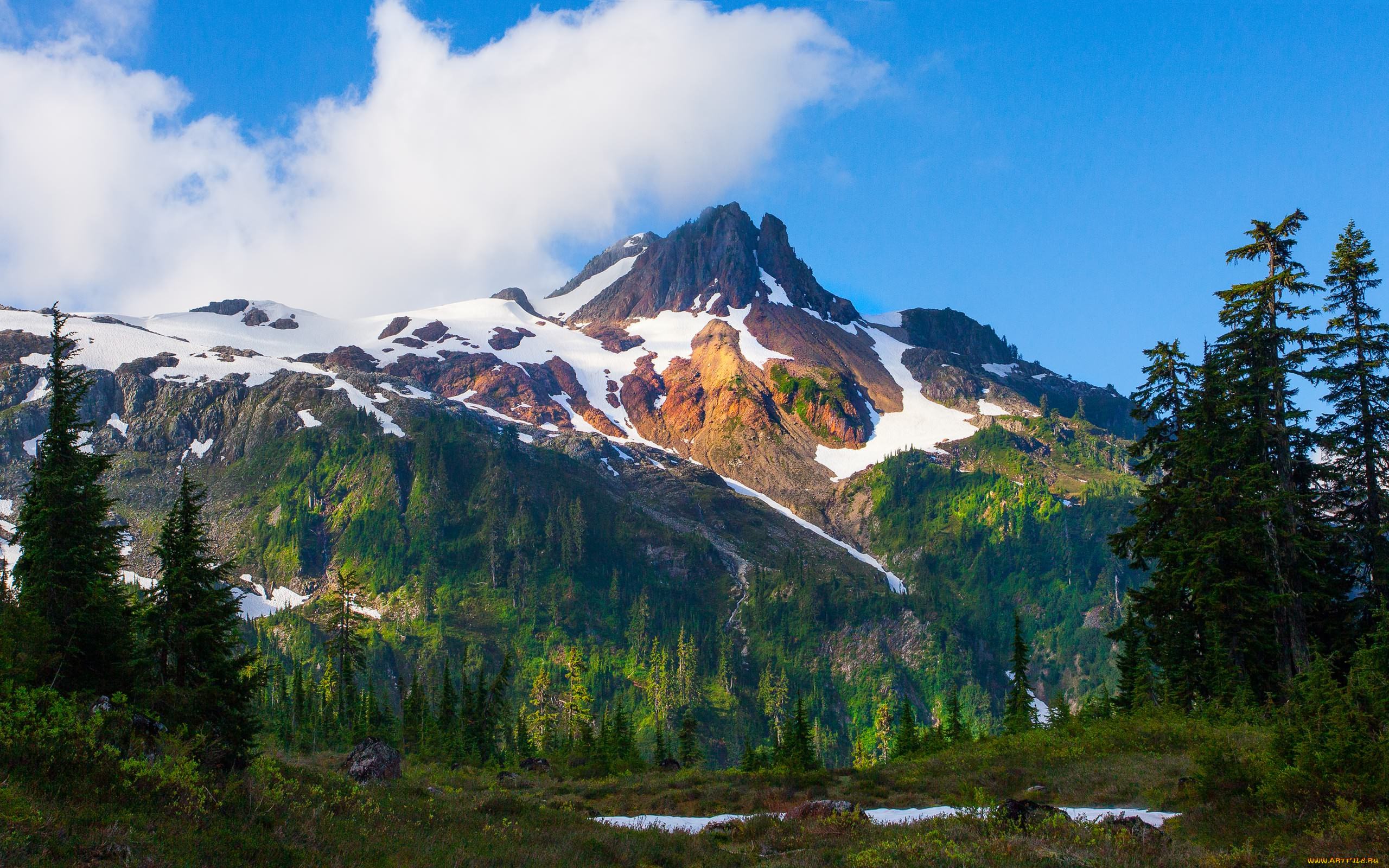 природа, горы, небо, снег, лес, тучи, пейзаж, вершина