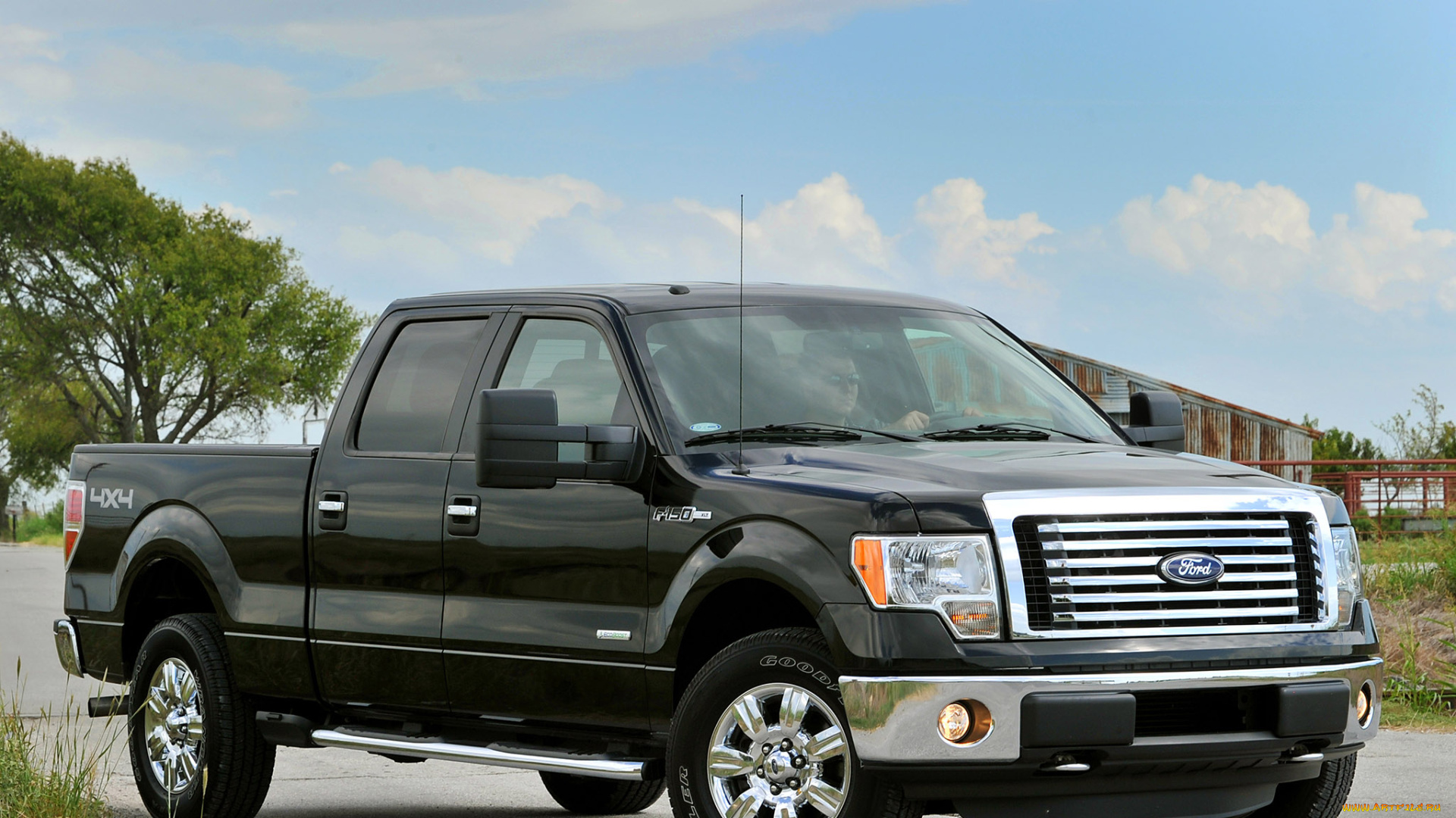 автомобили, ford, форд, ферма, деревья, пикап, черный