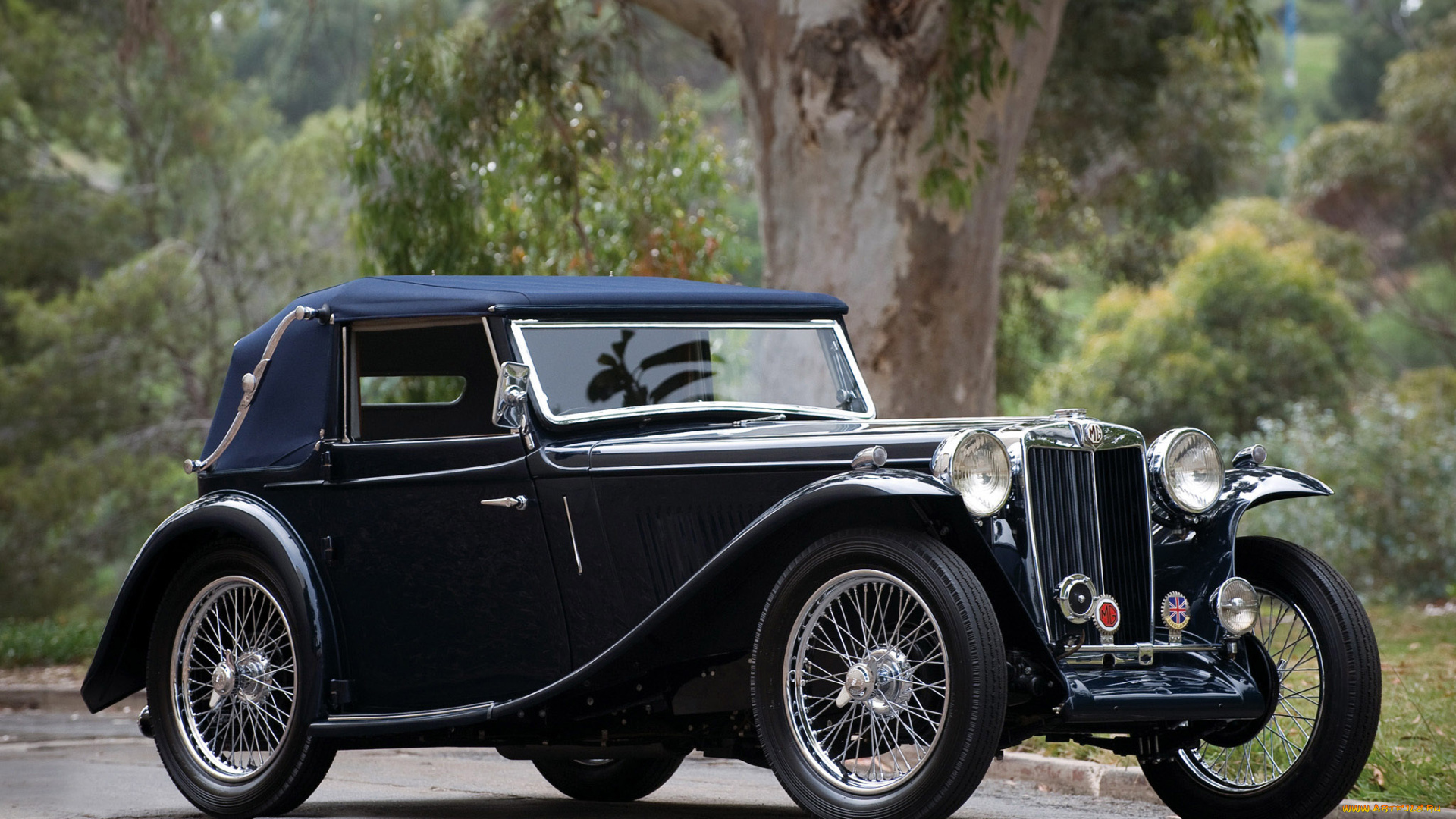 автомобили, классика, деревья, черный, кабриолет, ретро, 1936, mg, ta