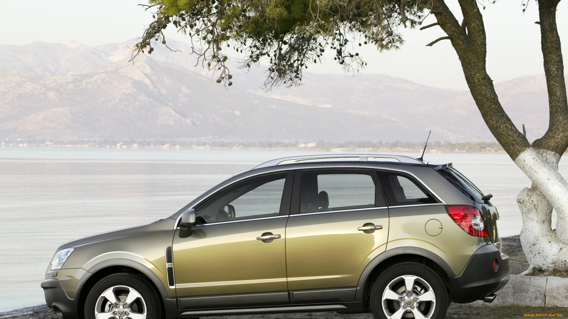 автомобили, opel, берег, озеро, деревья, горы, оливковый, antara, опель