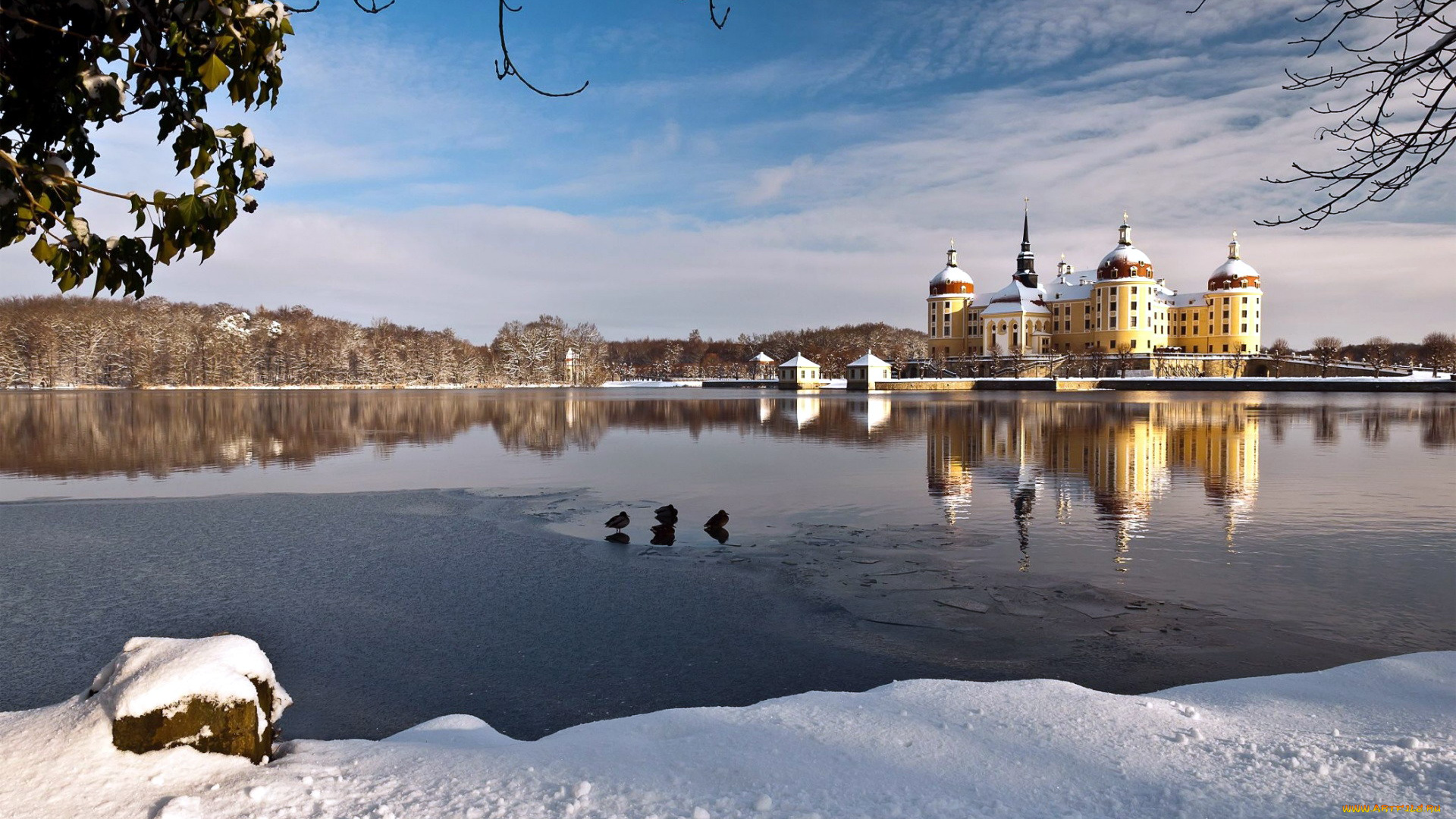 города, замок, морицбург, , германия, schloss, moritzburg