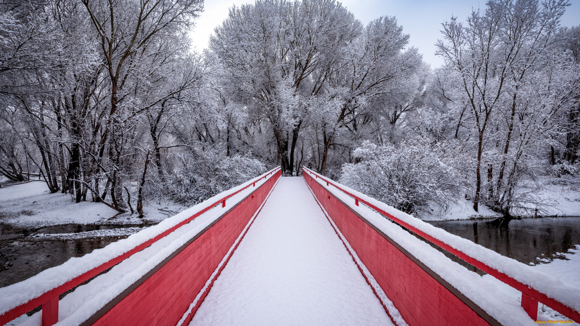 природа, парк, зима, мост