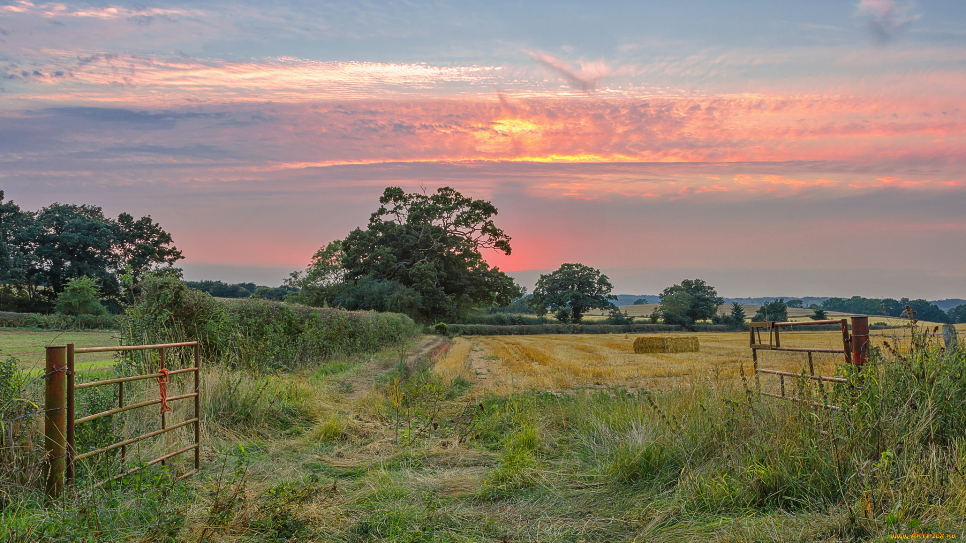 природа, пейзажи, простор