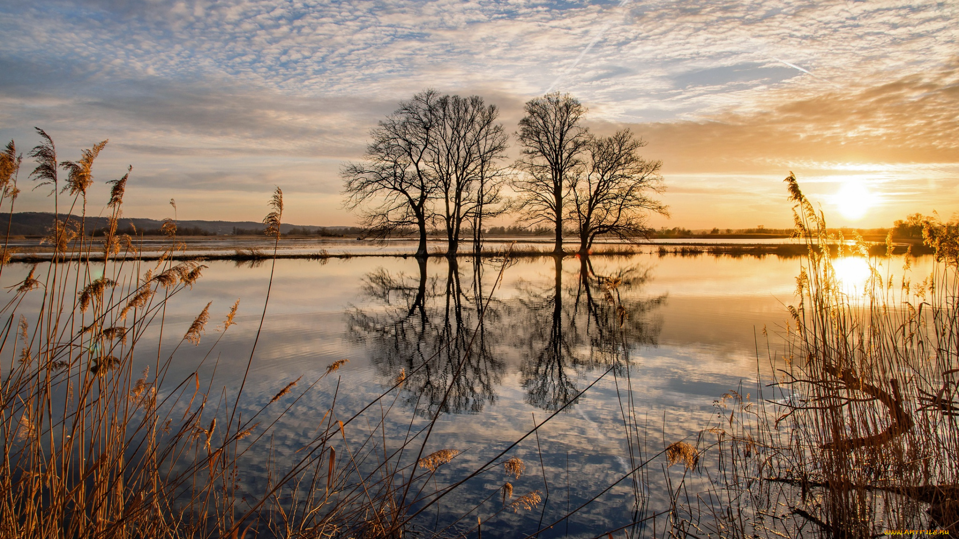 природа, восходы, закаты, вода, закат