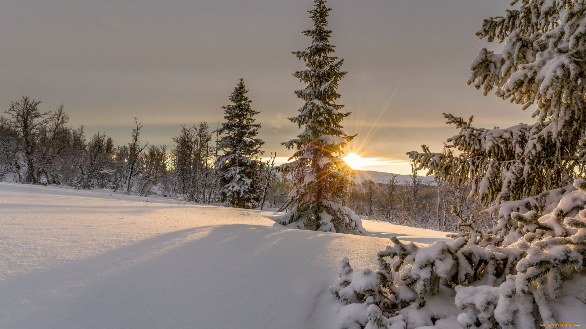 природа, зима, простор