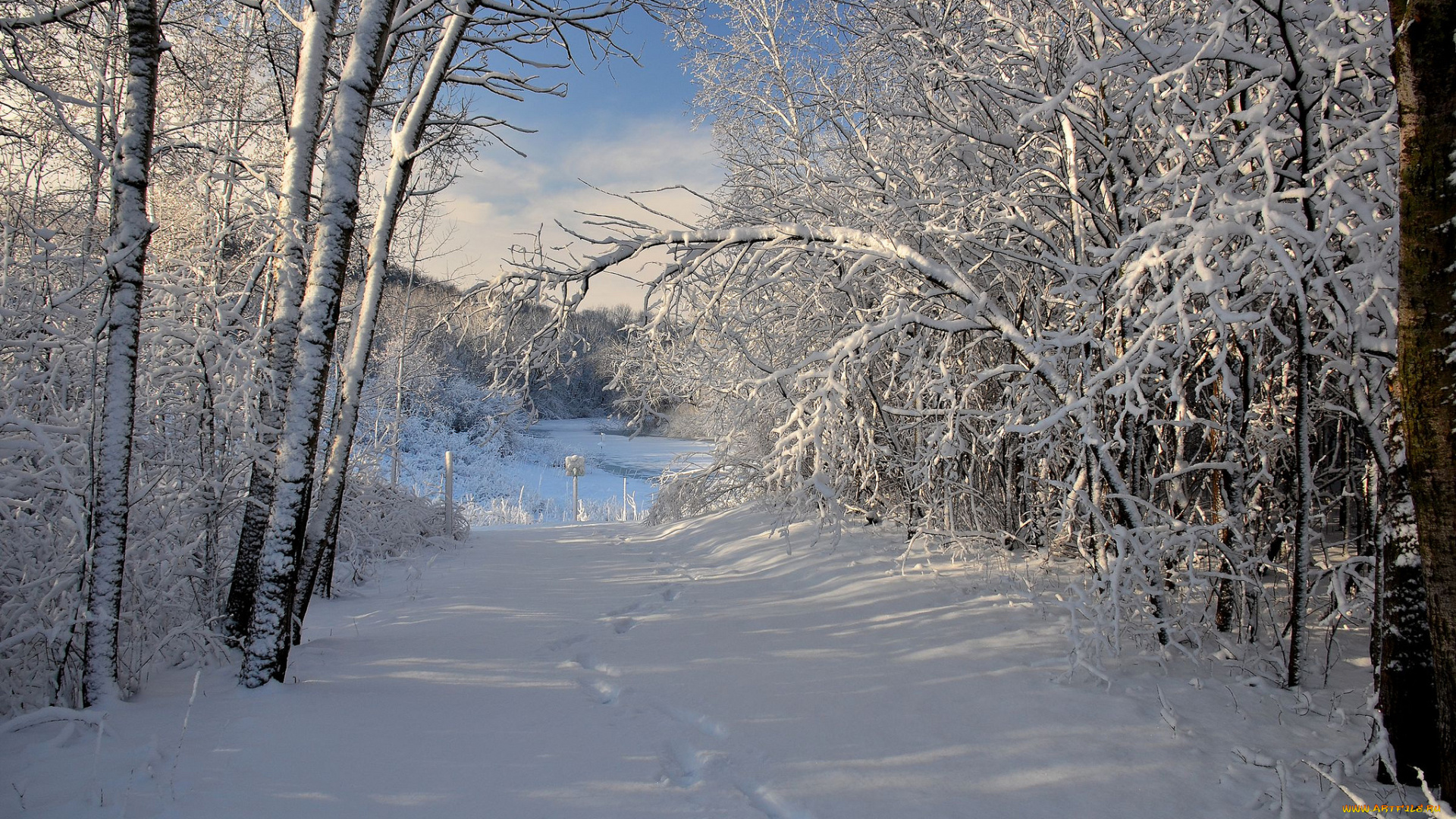 природа, зима, простор