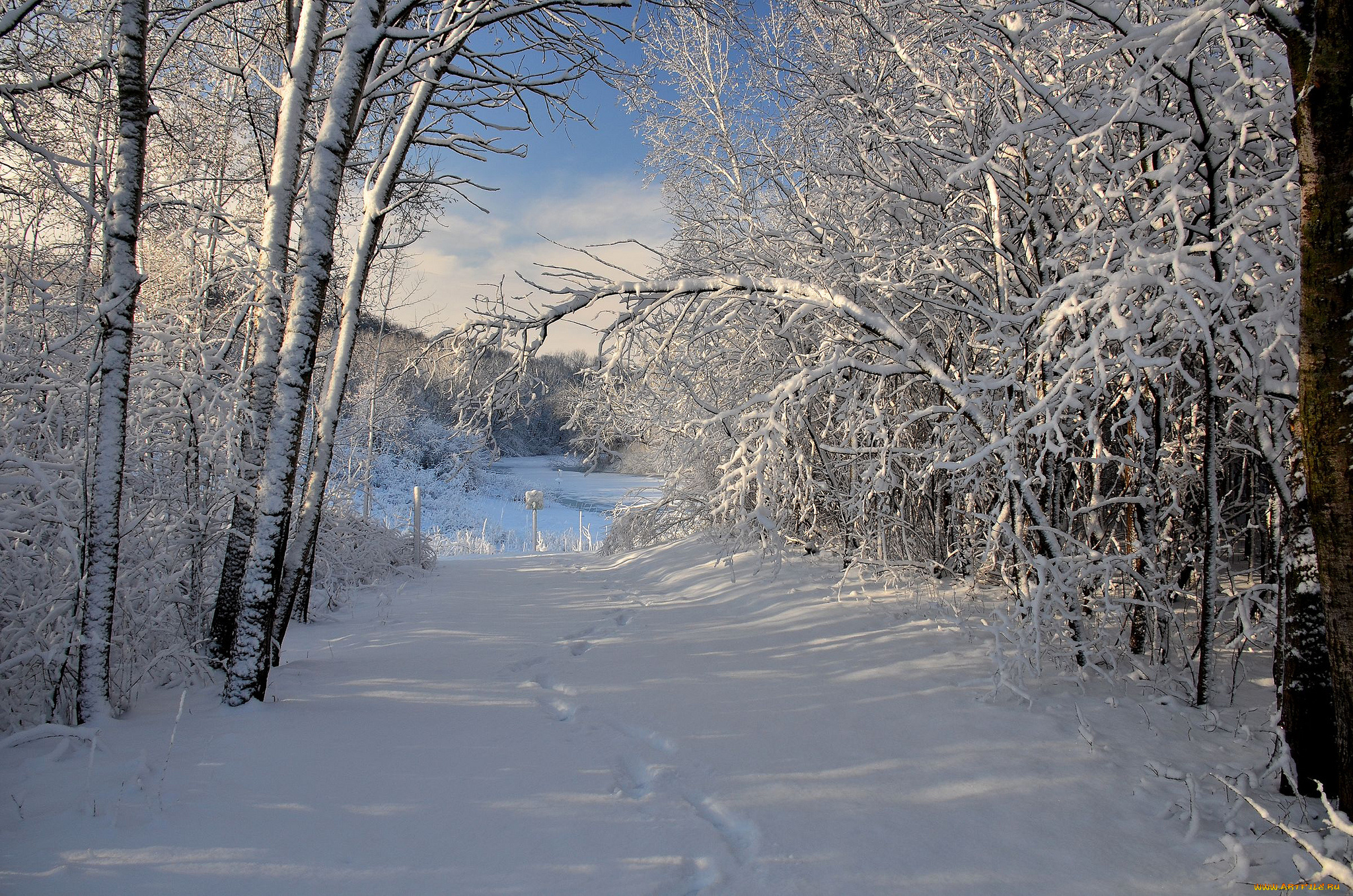 природа, зима, простор