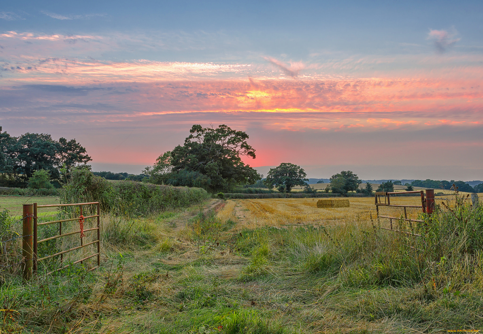 природа, пейзажи, простор