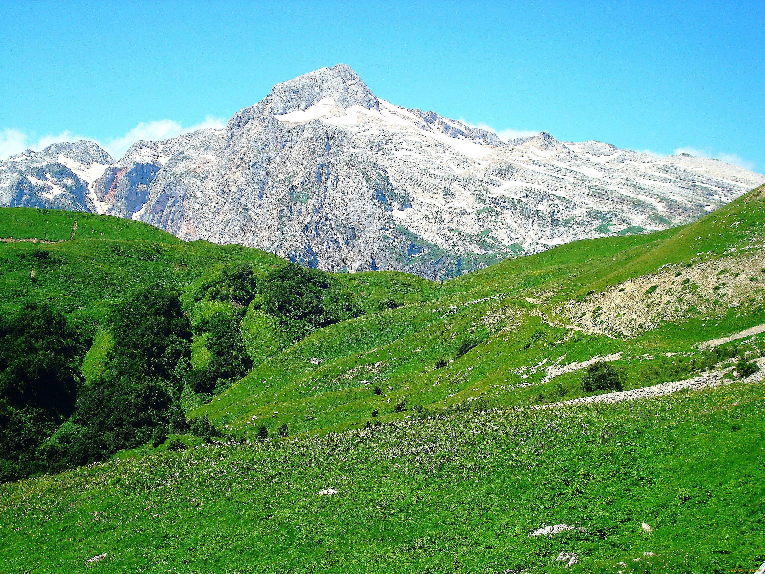 фишт, природа, горы, россия, кавказ, вершина, гора