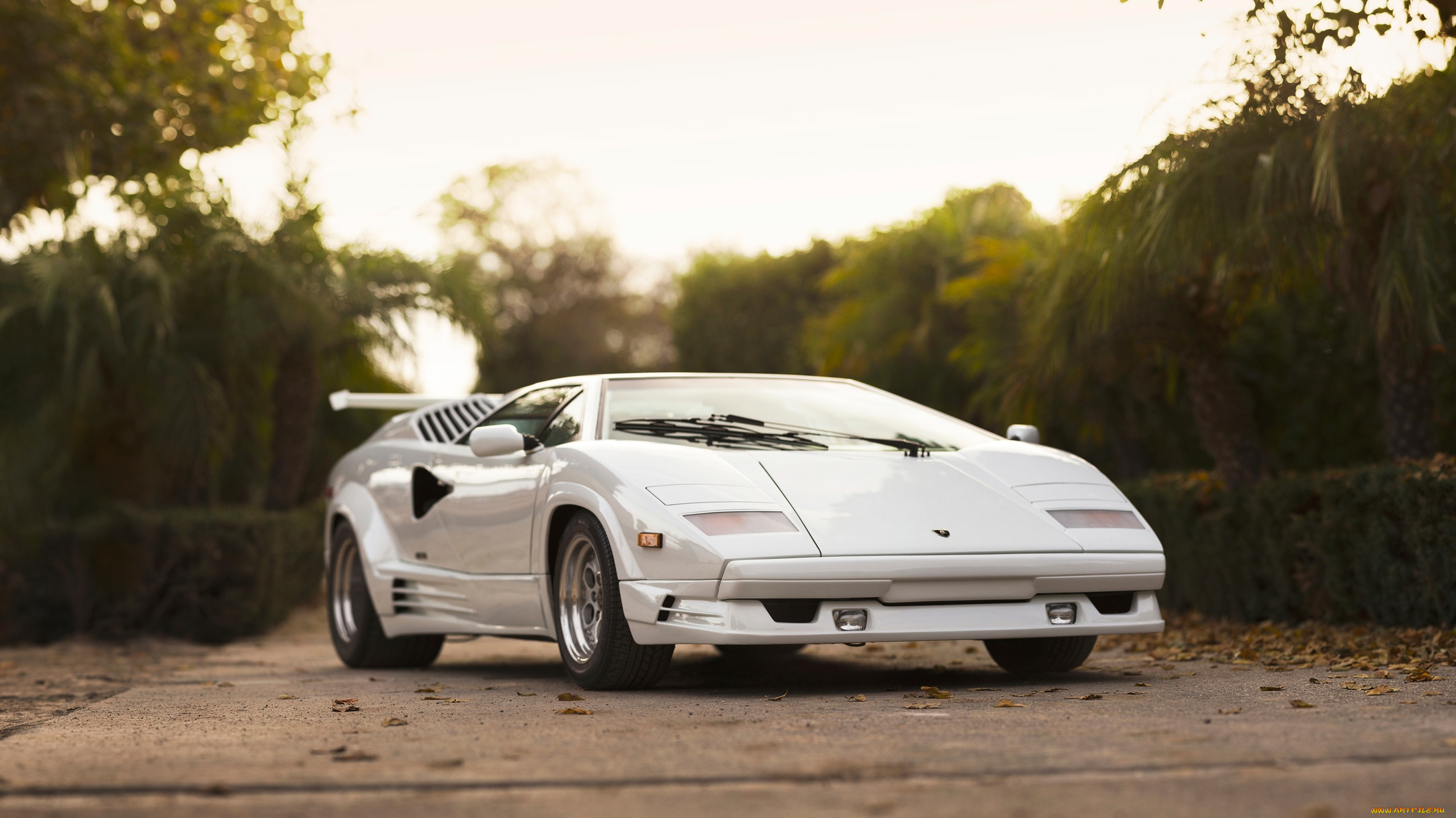 автомобили, lamborghini, 1989, countach