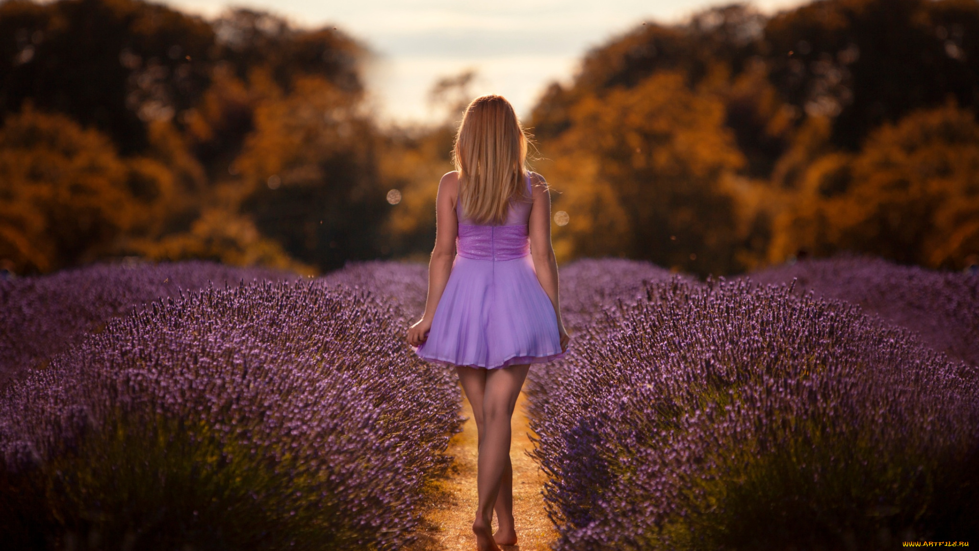 мадам, девушки, -, блондинки, , светловолосые, девушка, красивая, супер, секси, няша, нежная, классная, модница, лапочка