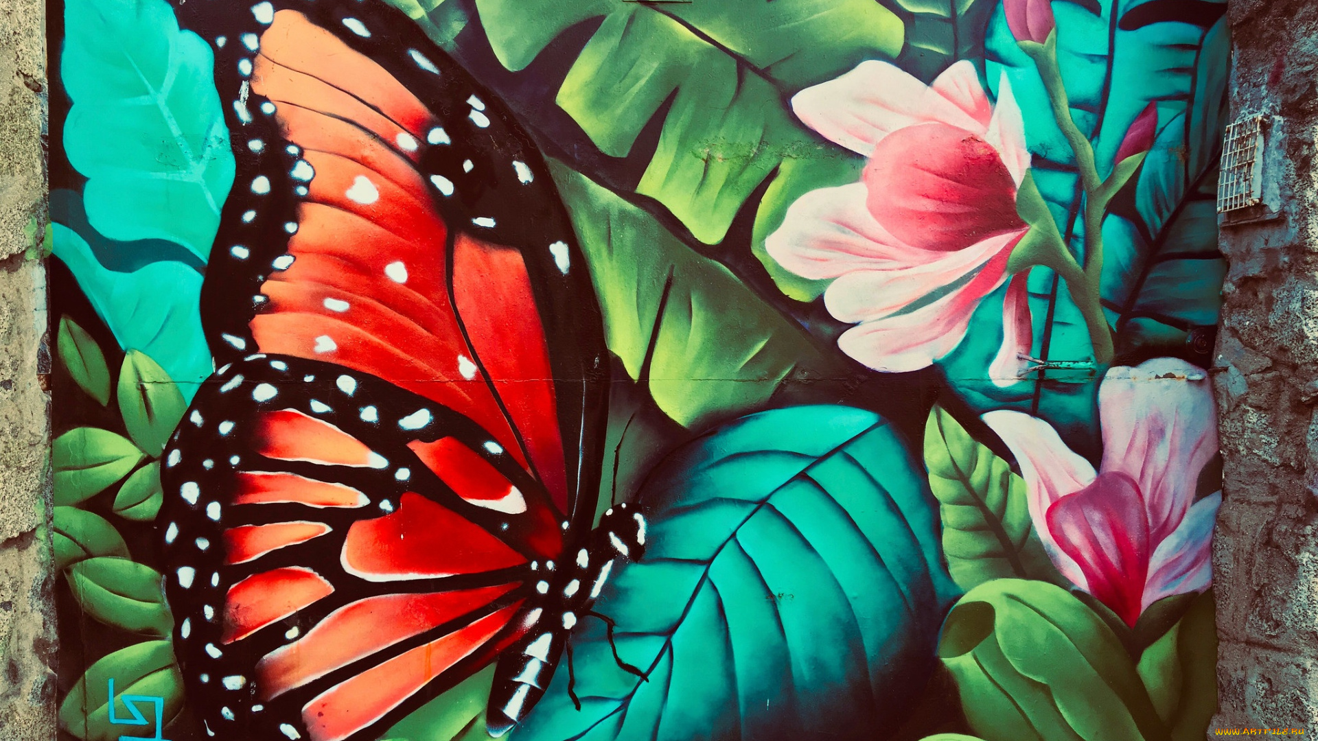 разное, граффити, бабочка