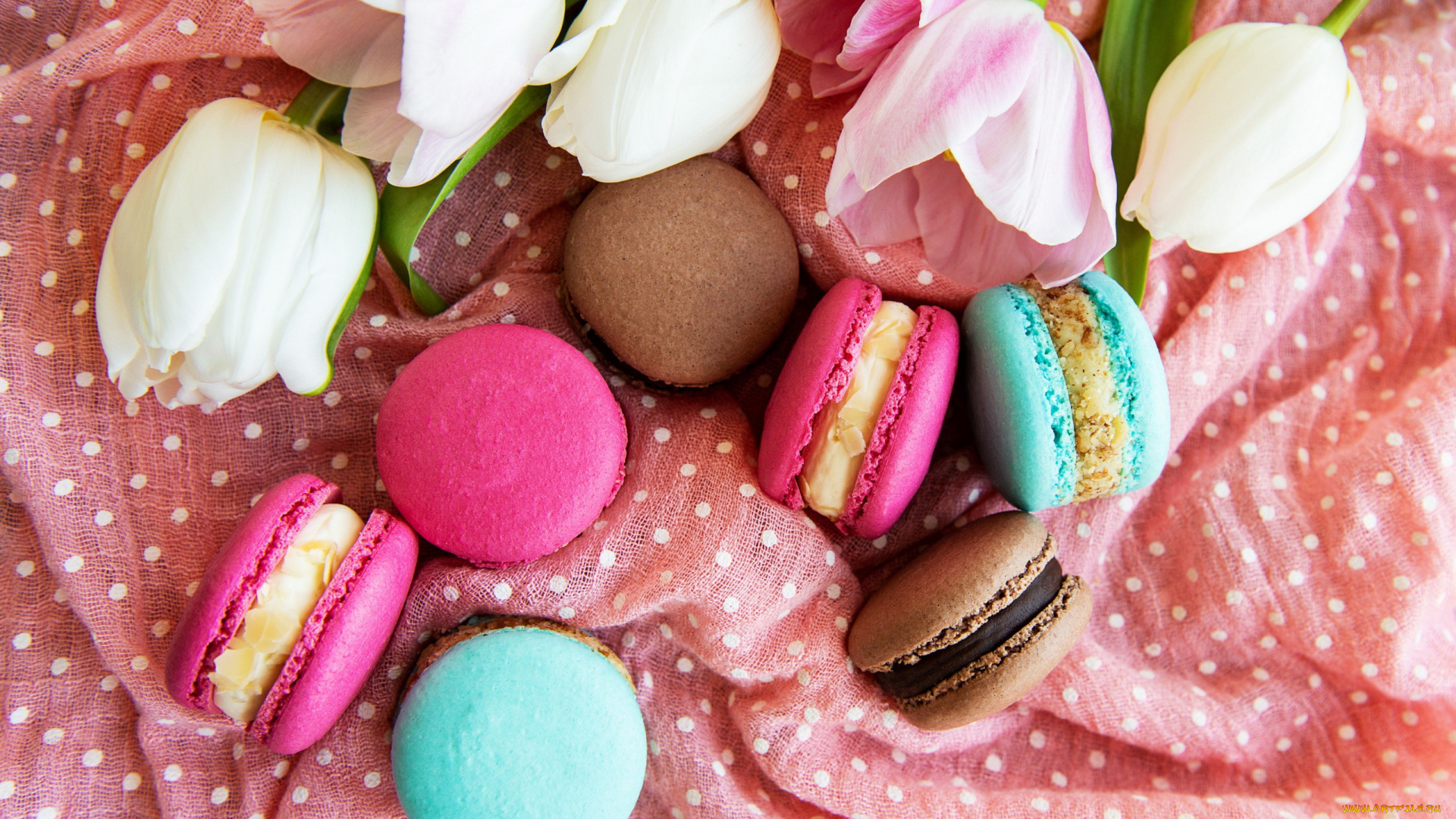 еда, макаруны, лакомство, печенье, ассорти, цветы, тюльпаны