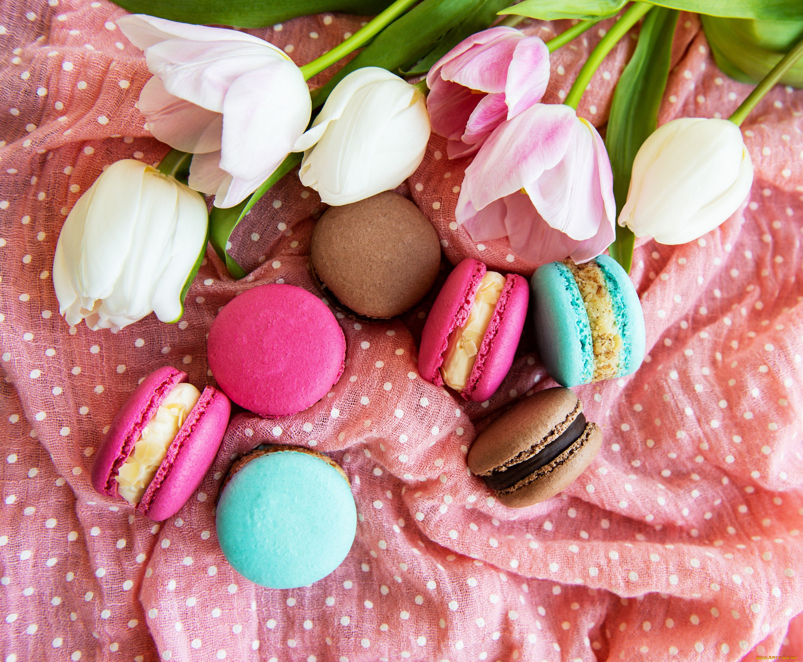 еда, макаруны, лакомство, печенье, ассорти, цветы, тюльпаны