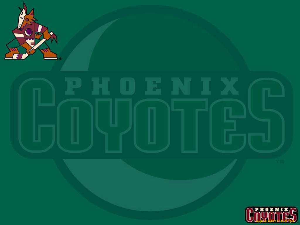 спорт, эмблемы, клубов